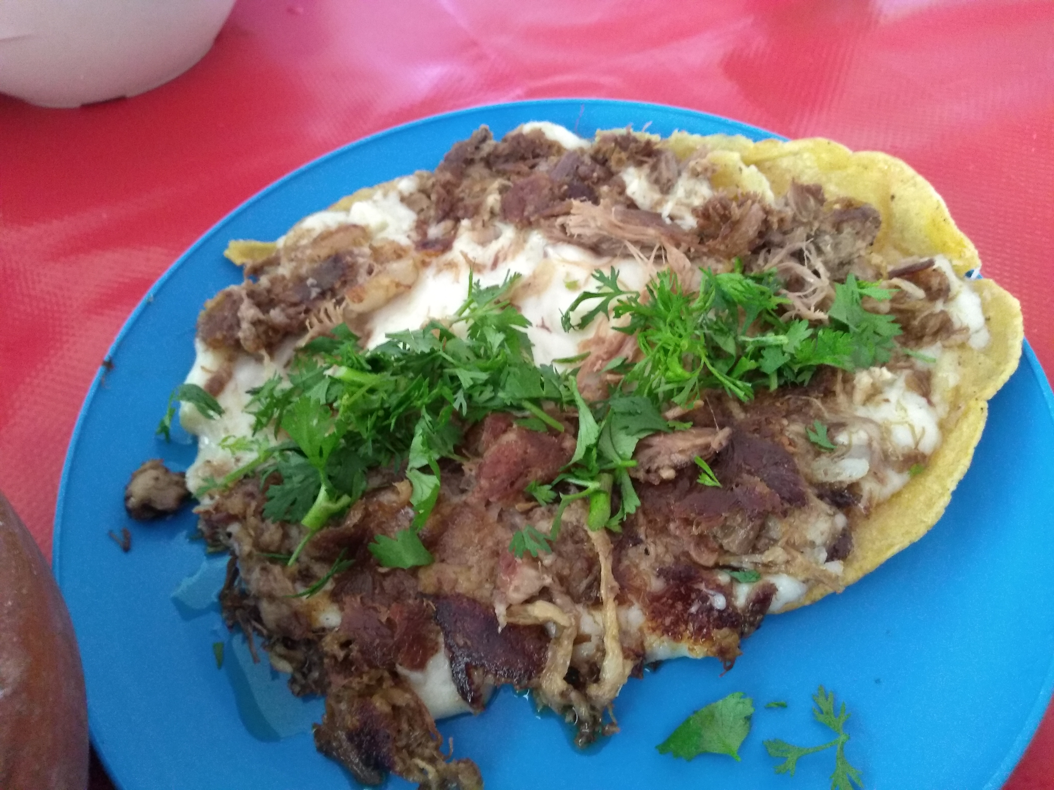 Rica barbacoa el viejon actopan hidalgo image 1