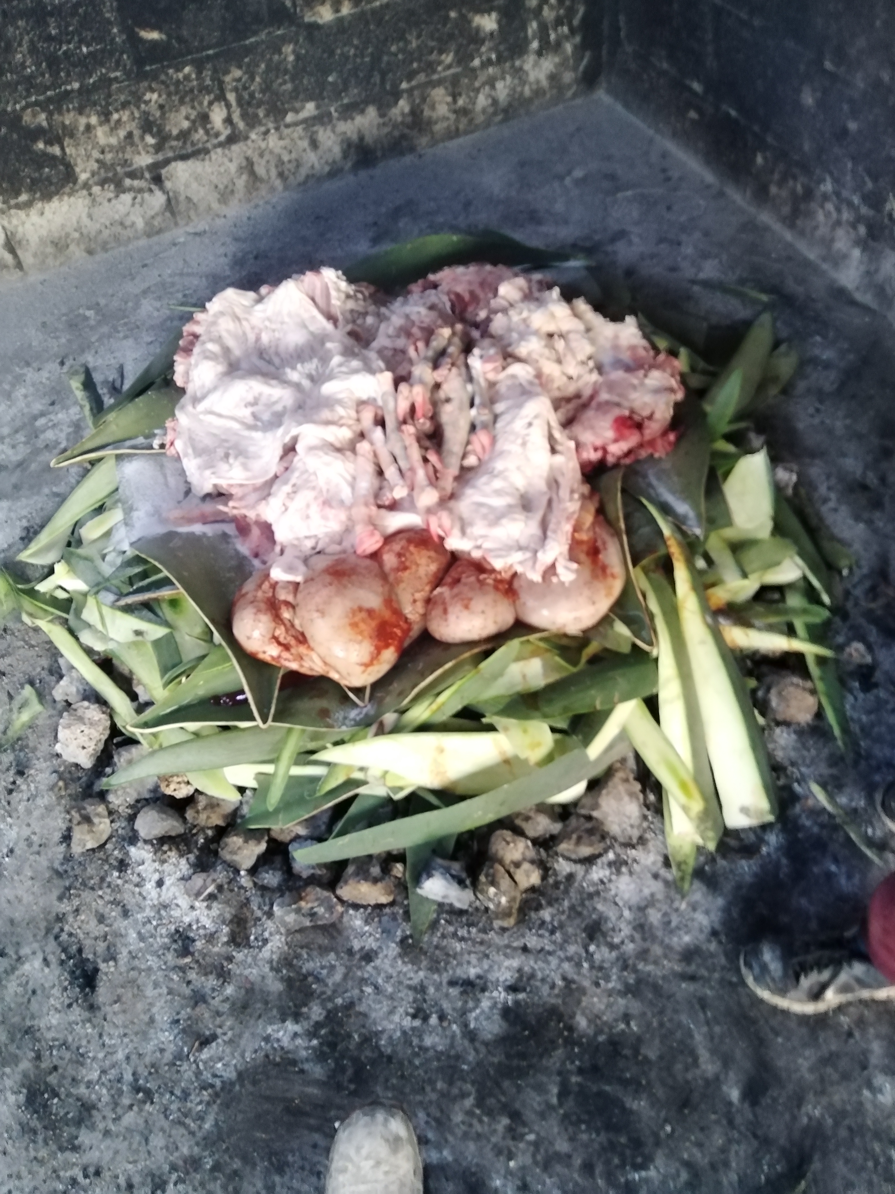 Rica barbacoa el viejon actopan hidalgo image 2