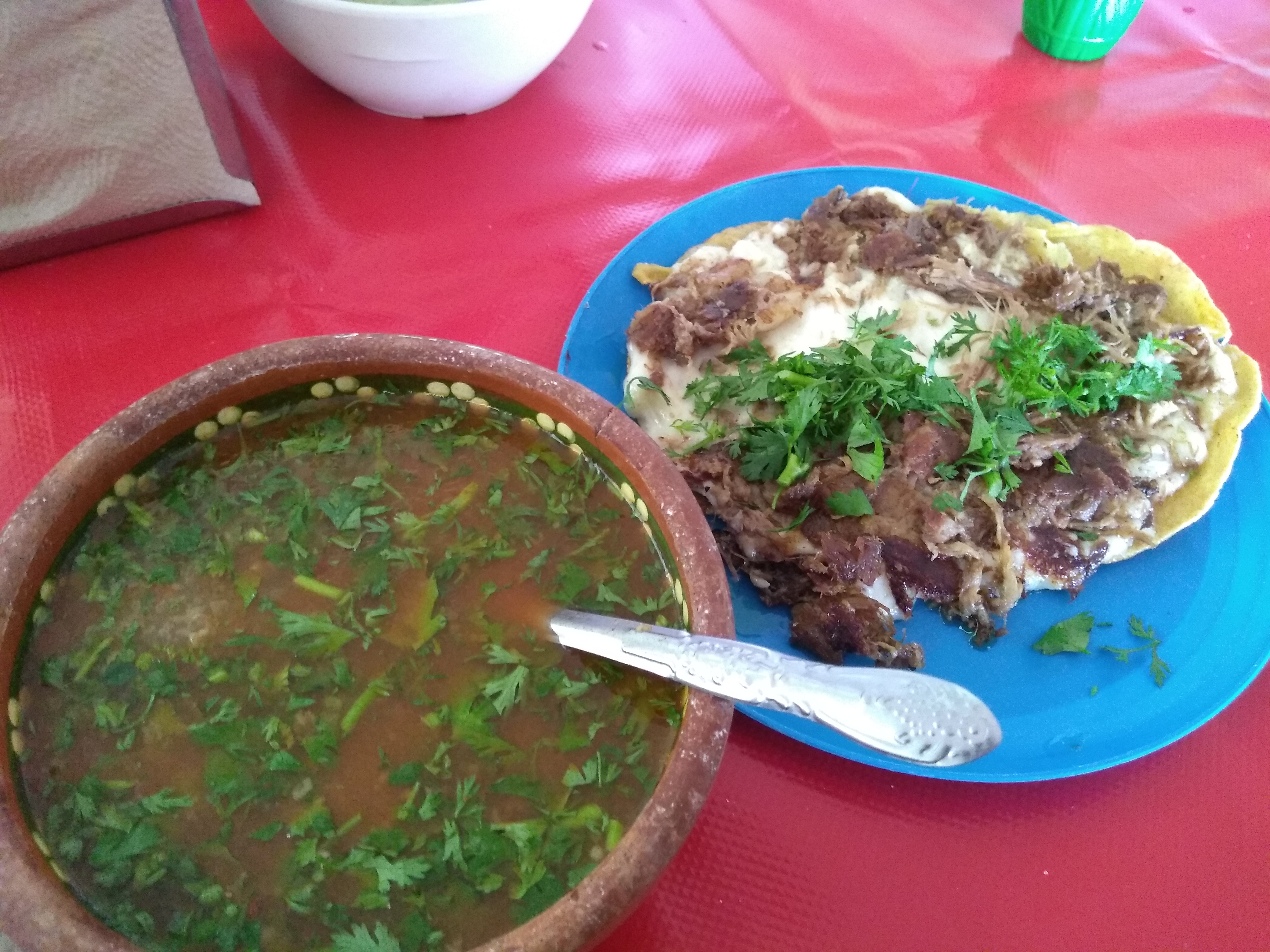 Rica barbacoa el viejon actopan hidalgo image 3