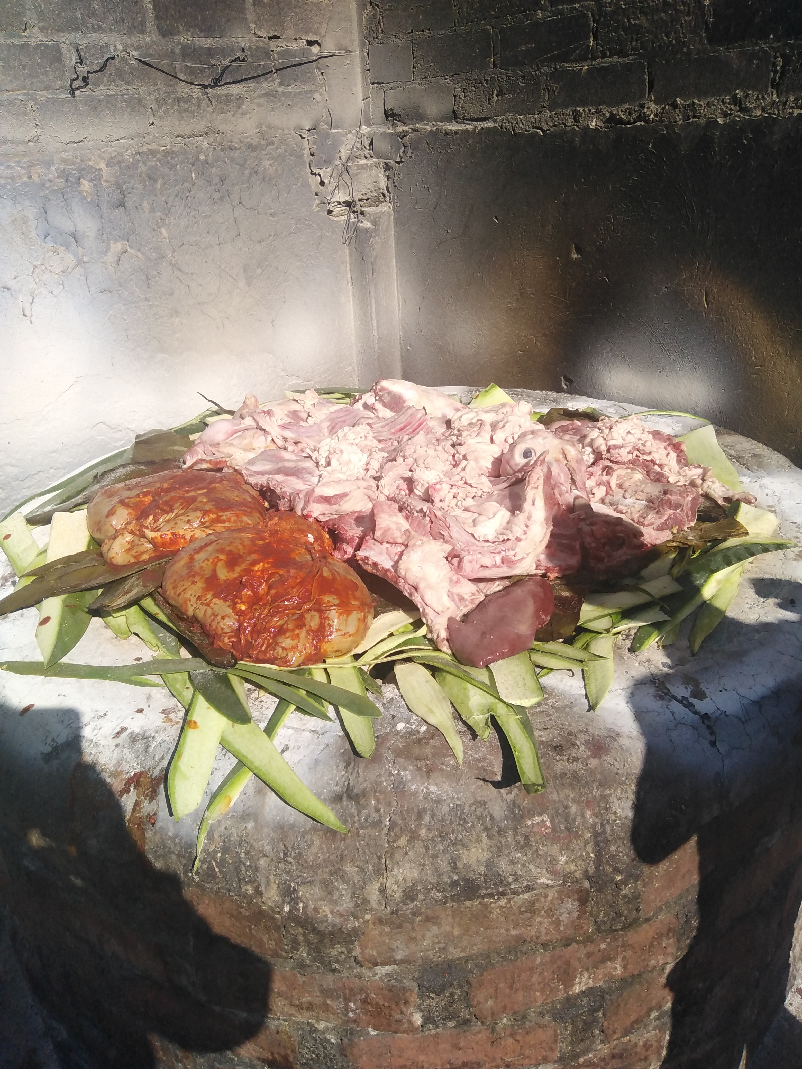 Rica barbacoa el viejon actopan hidalgo image 4