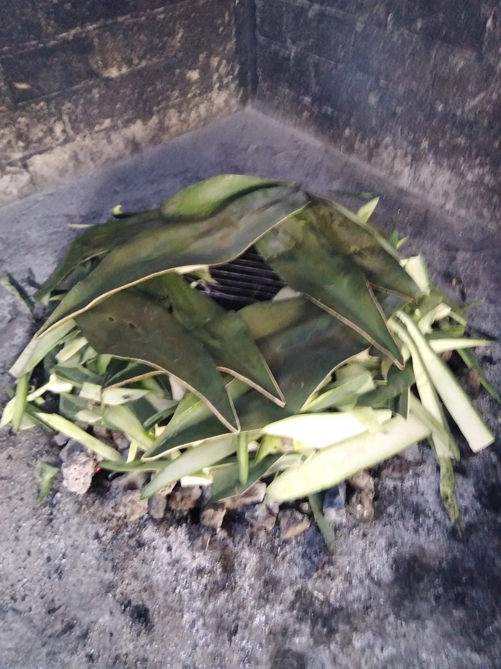 Rica barbacoa el viejon actopan hidalgo image 5