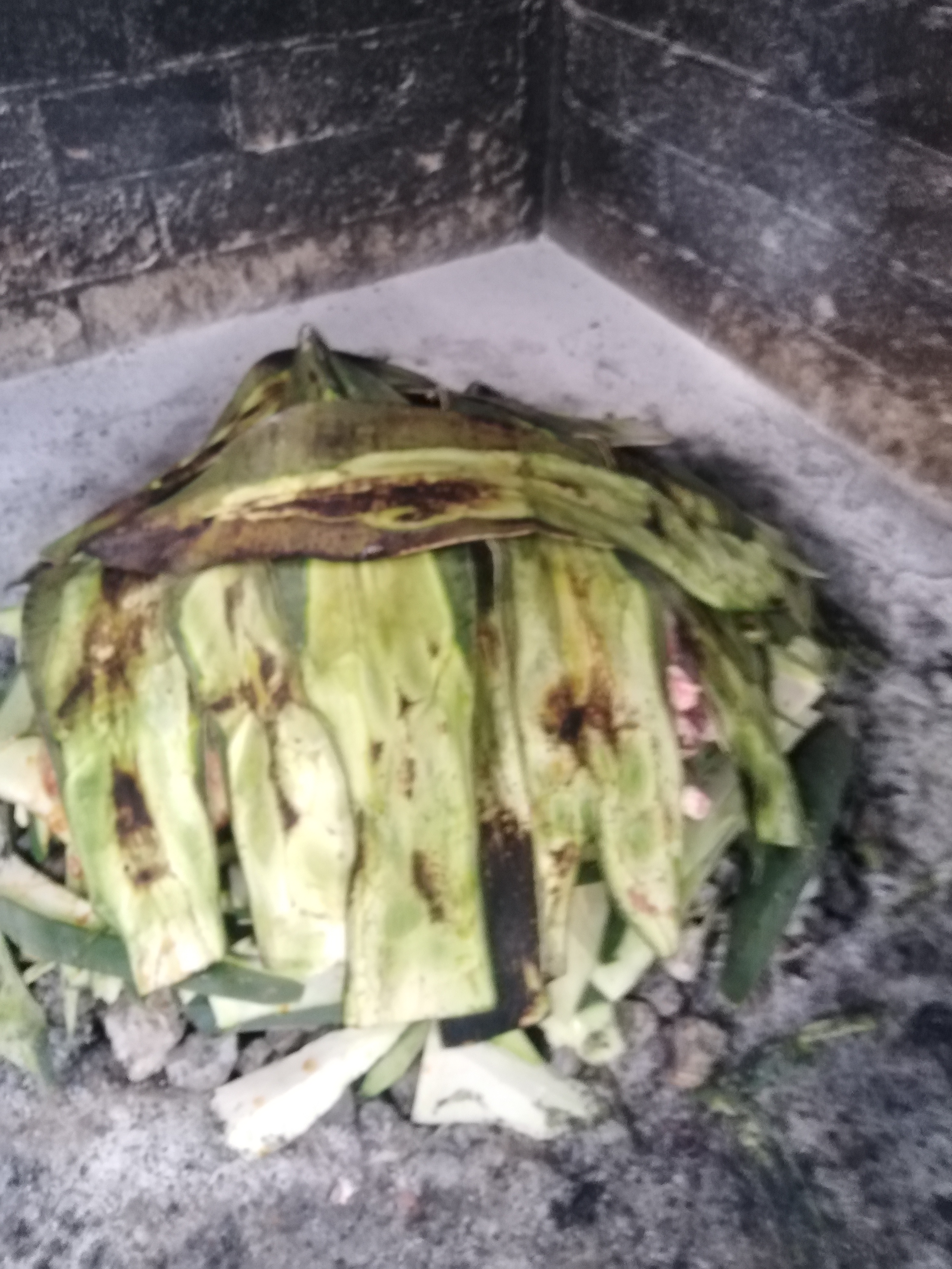 Rica barbacoa el viejon actopan hidalgo image 6