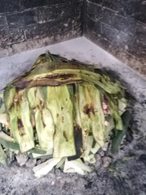 Rica barbacoa el viejon actopan hidalgo image 6