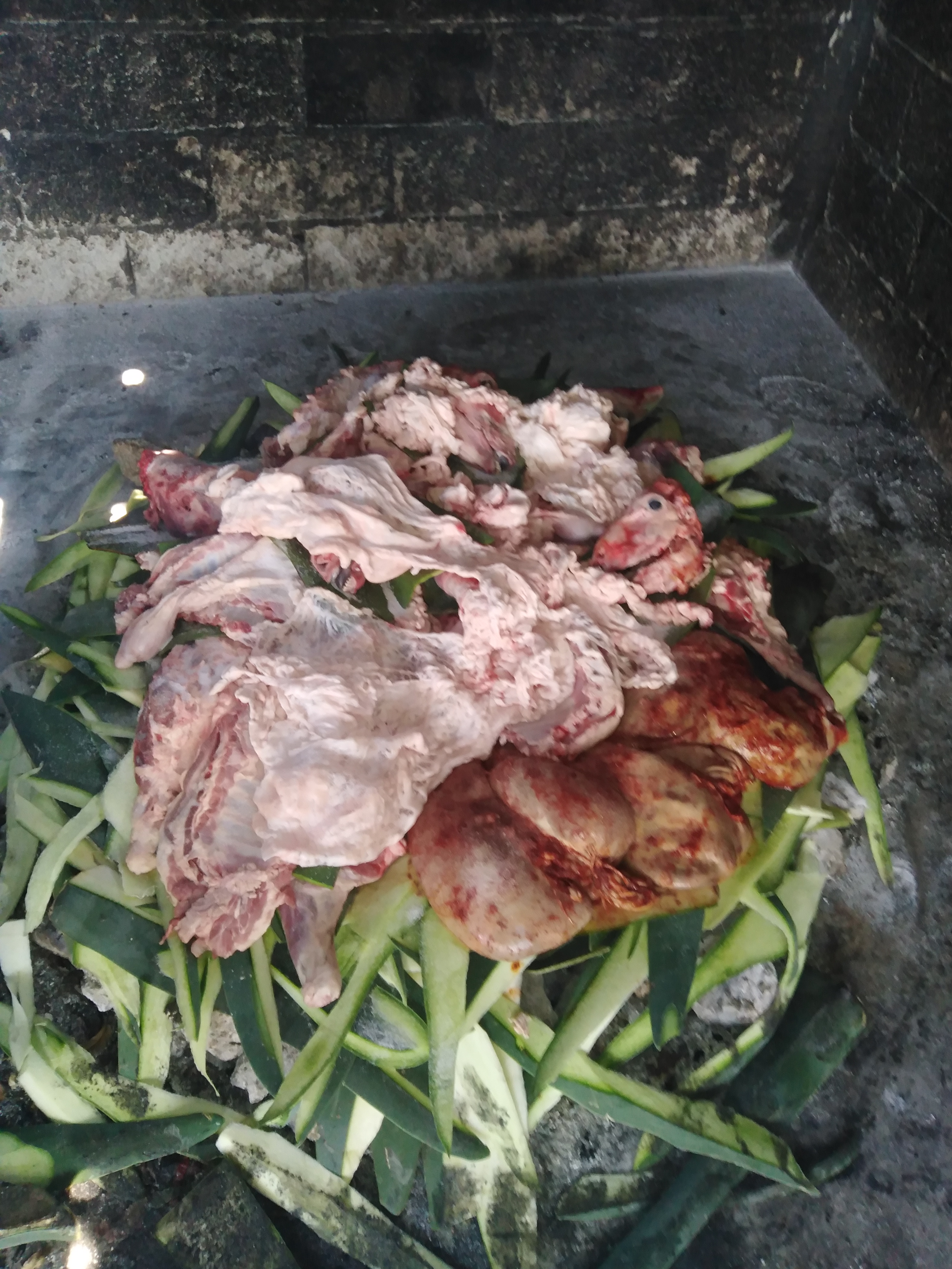 Rica barbacoa el viejon actopan hidalgo image 9