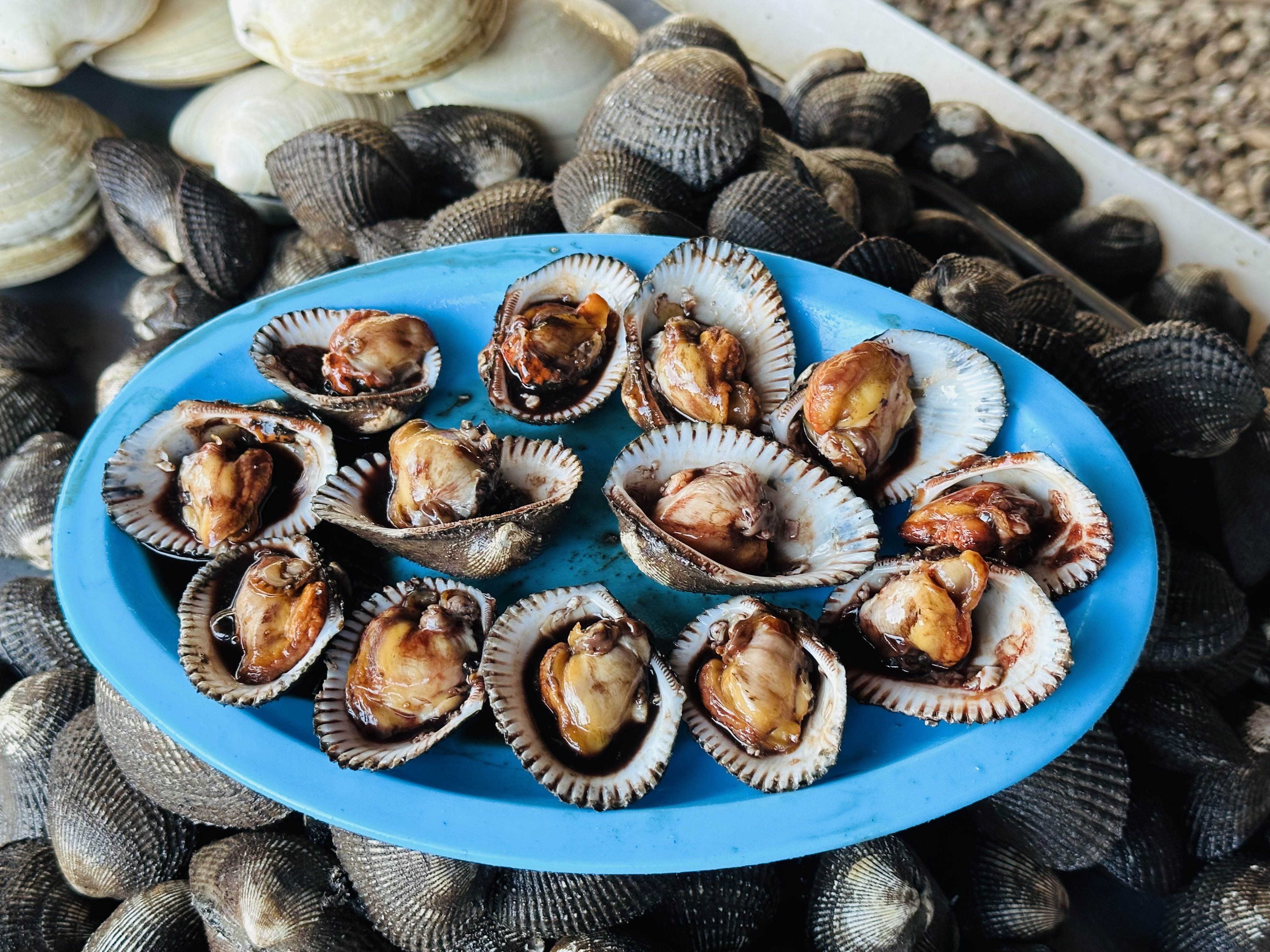 EL OSTIONERO image 6