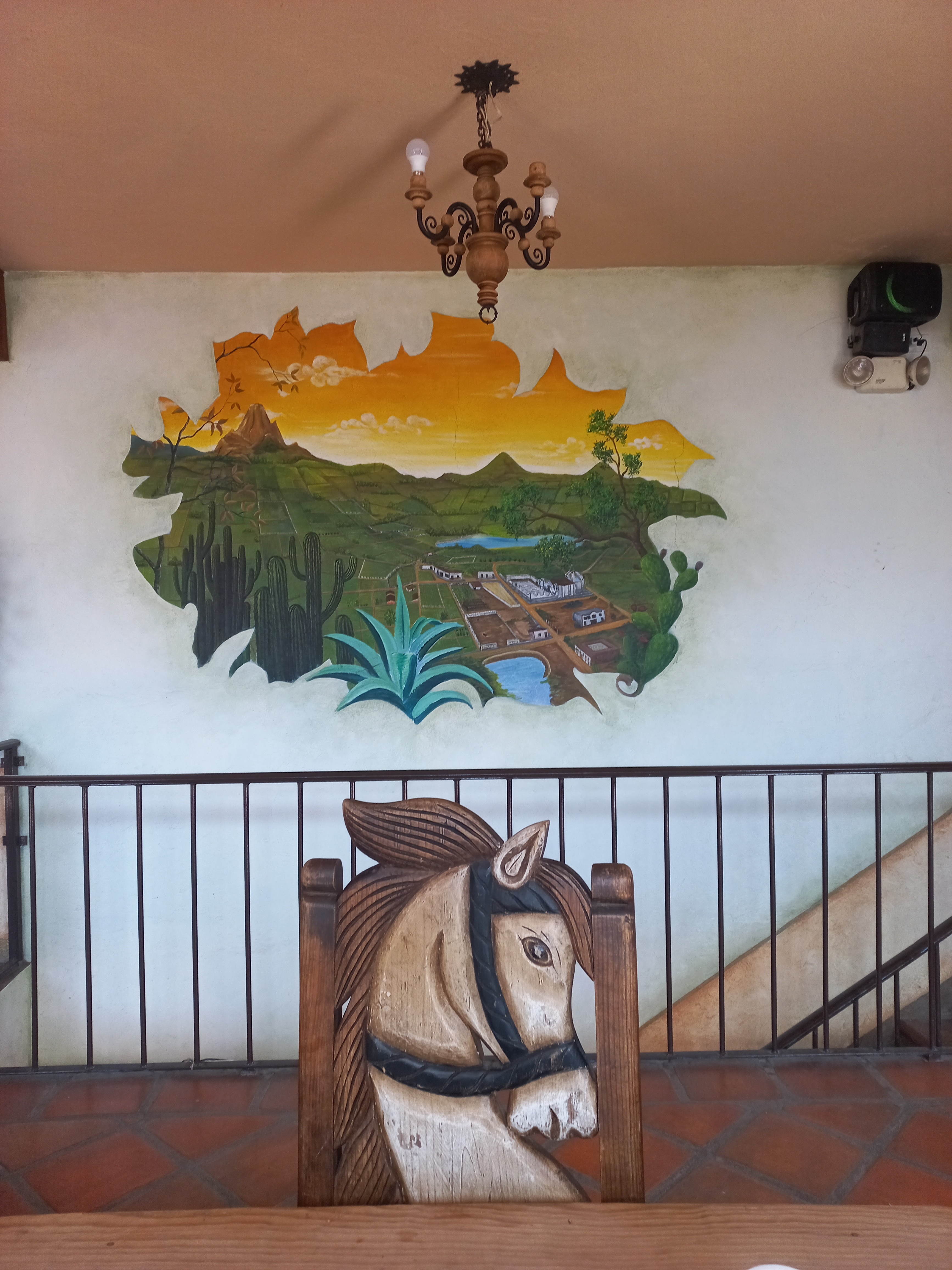 Morales Lavariega Tomás image 5