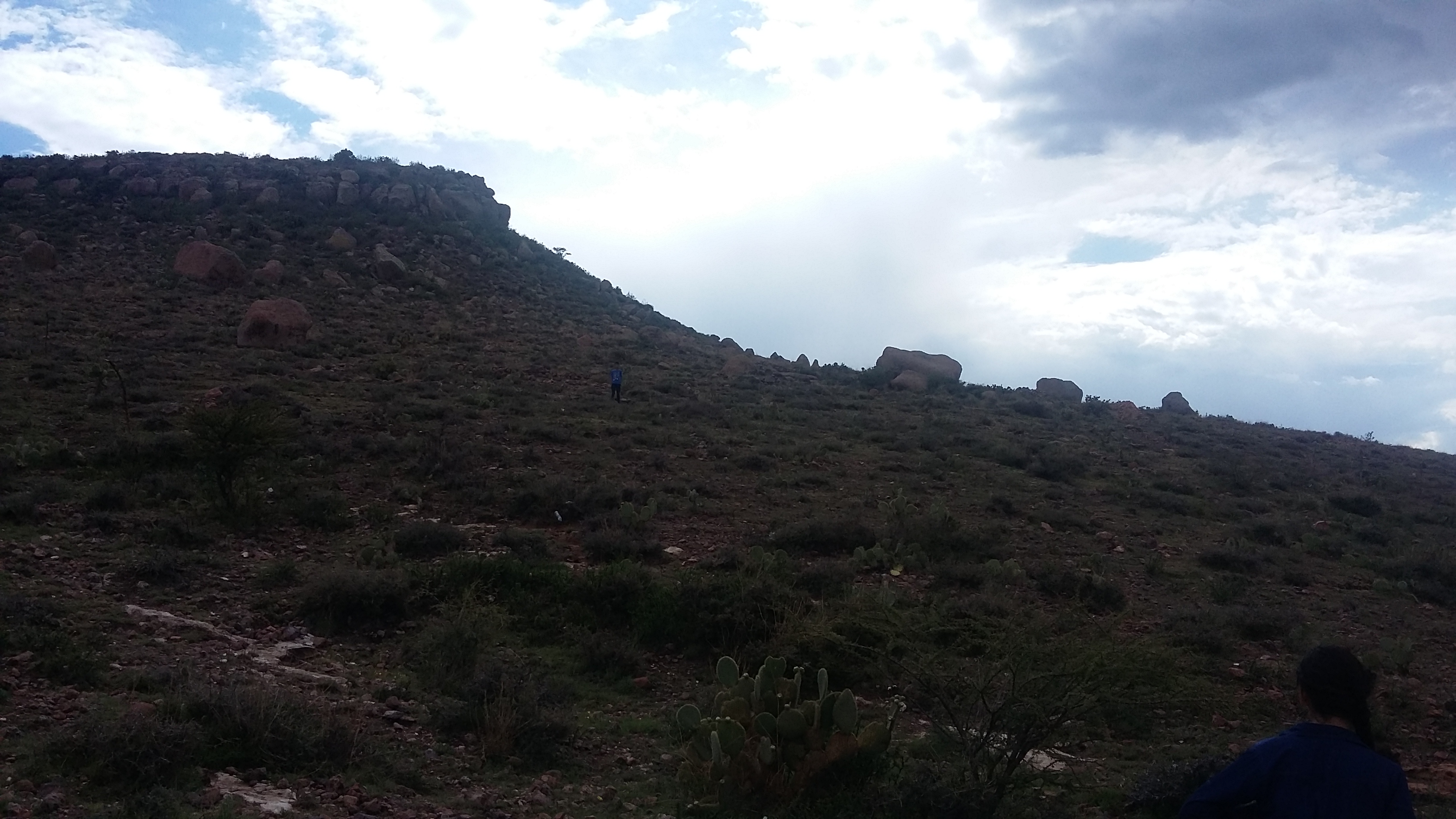 Pollos Asados KEVÍN image 1