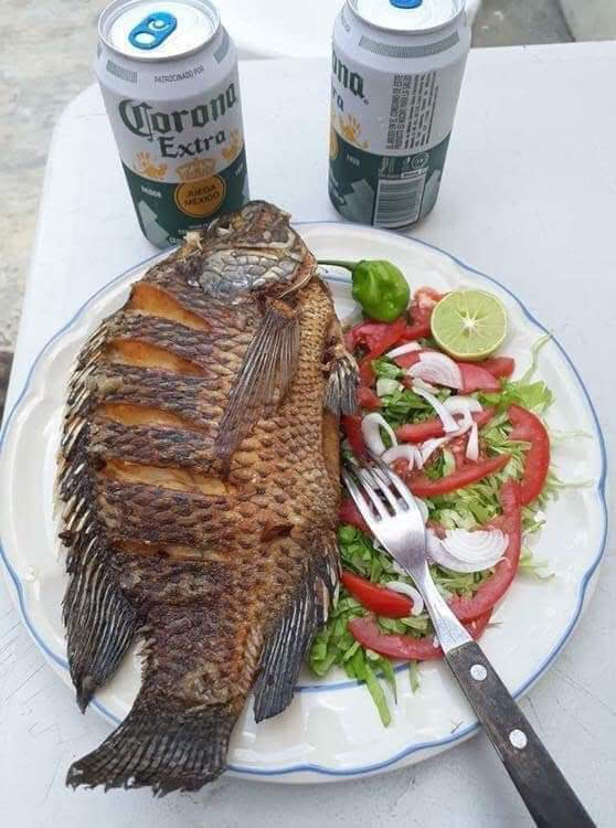 Comedor "Los Pinos" image 7