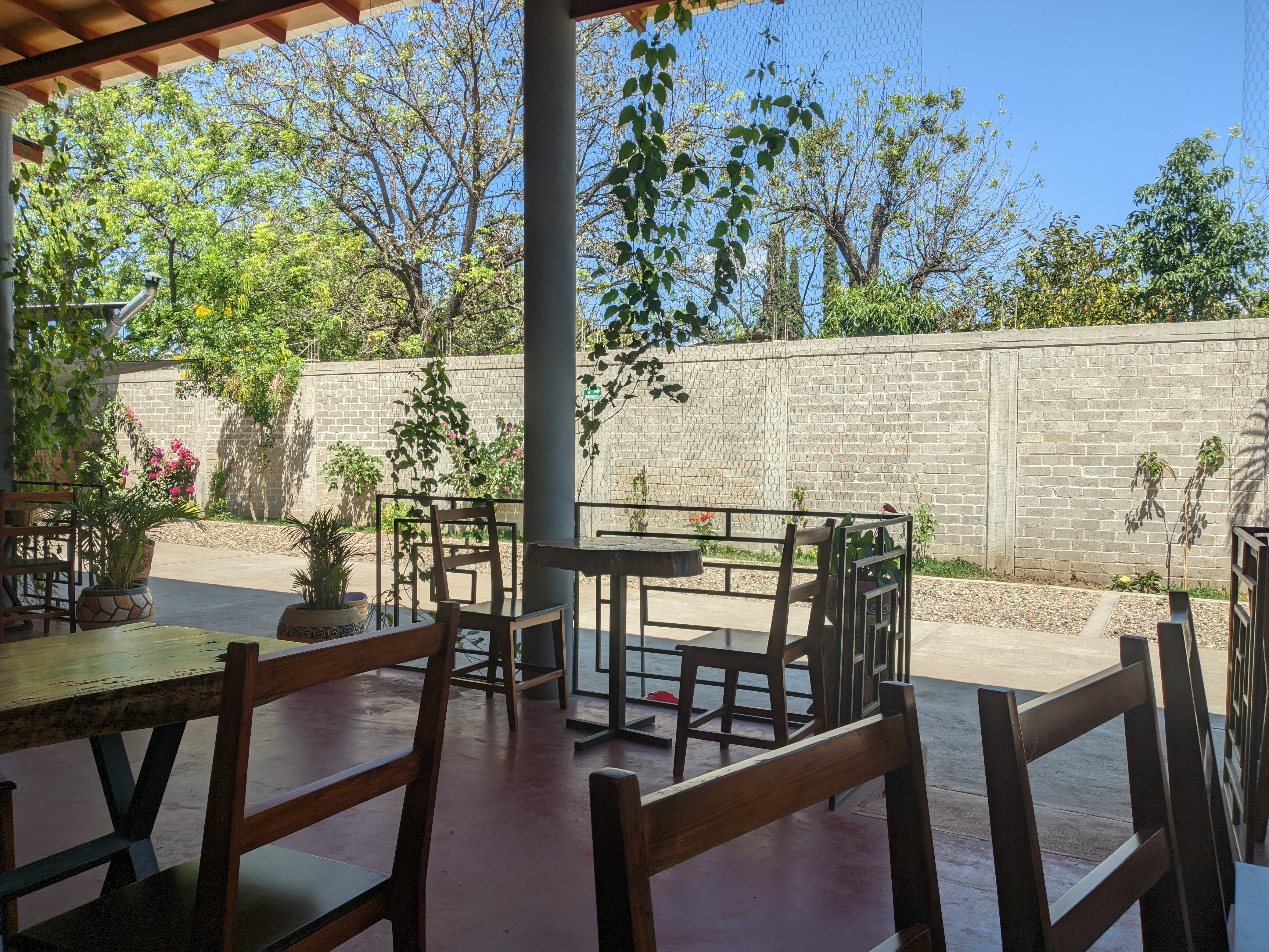 TENATE (TNT) image 1