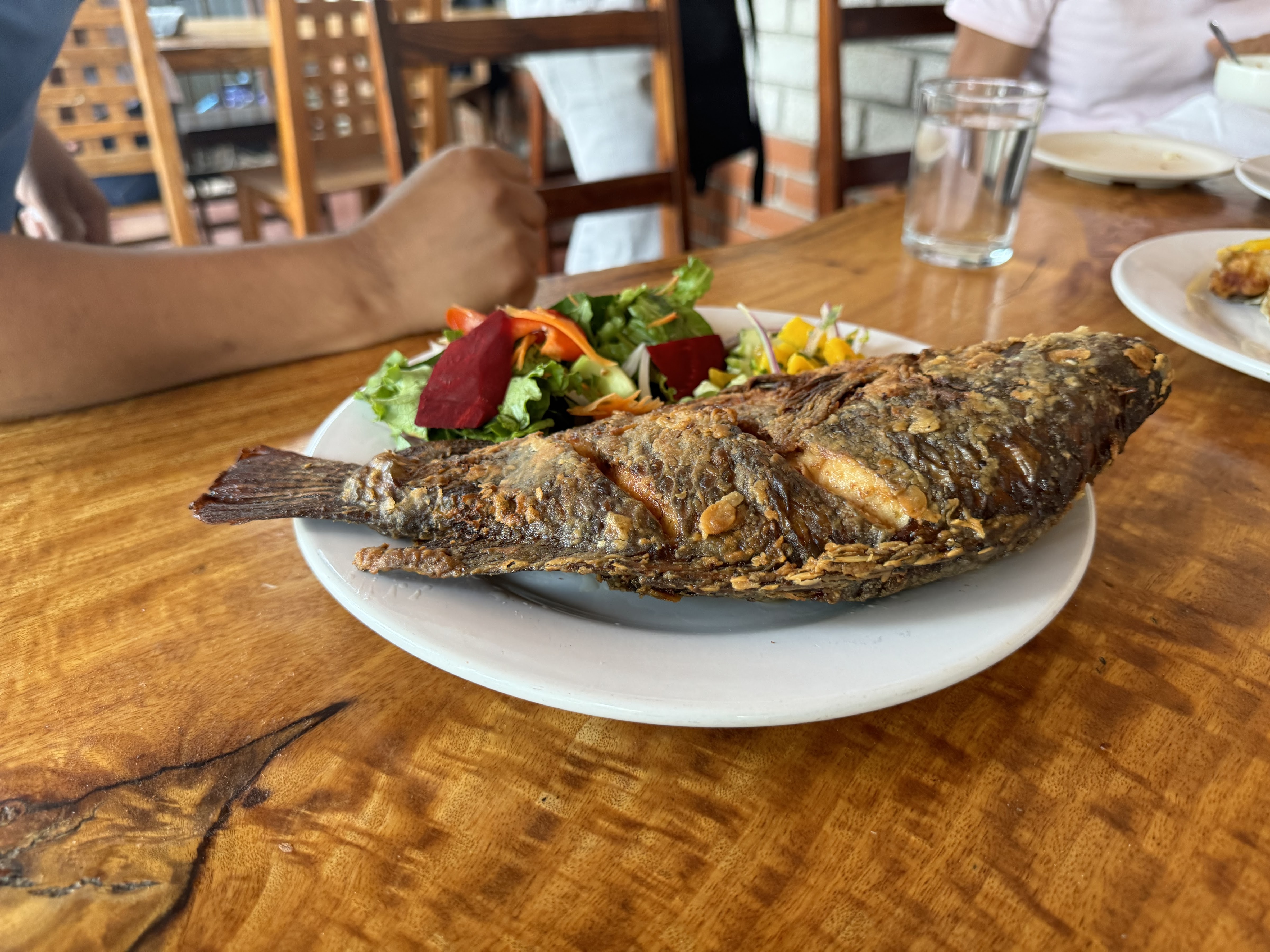 TENATE (TNT) image 8