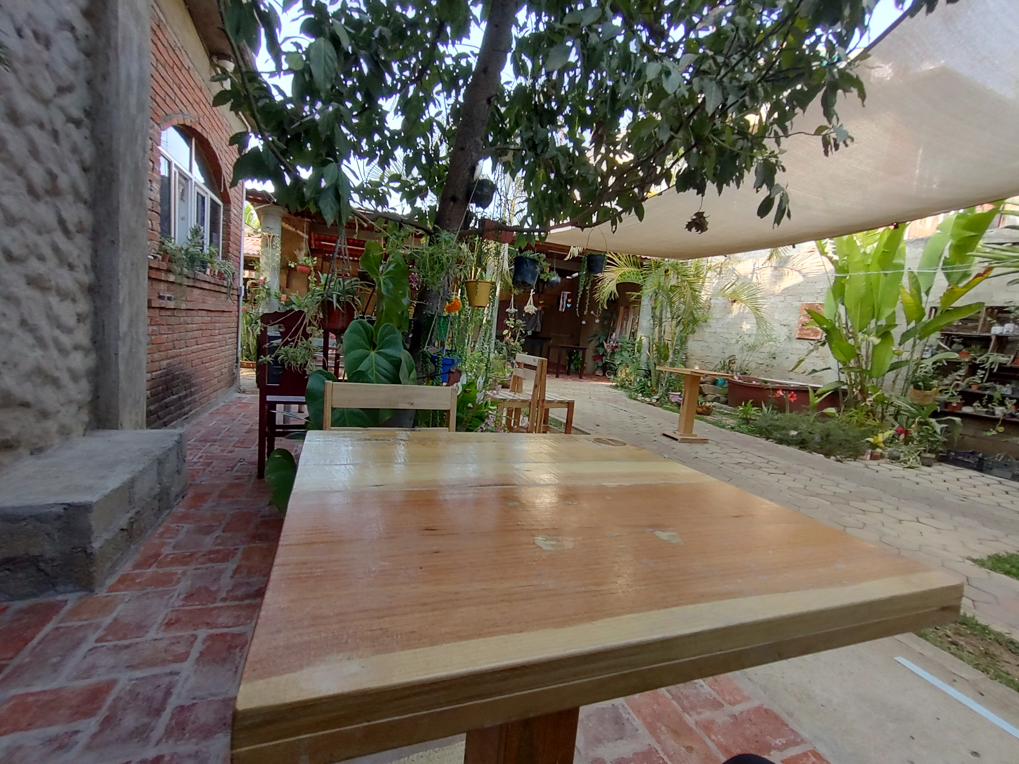 "Tío Rulo" Café & Bar image 1