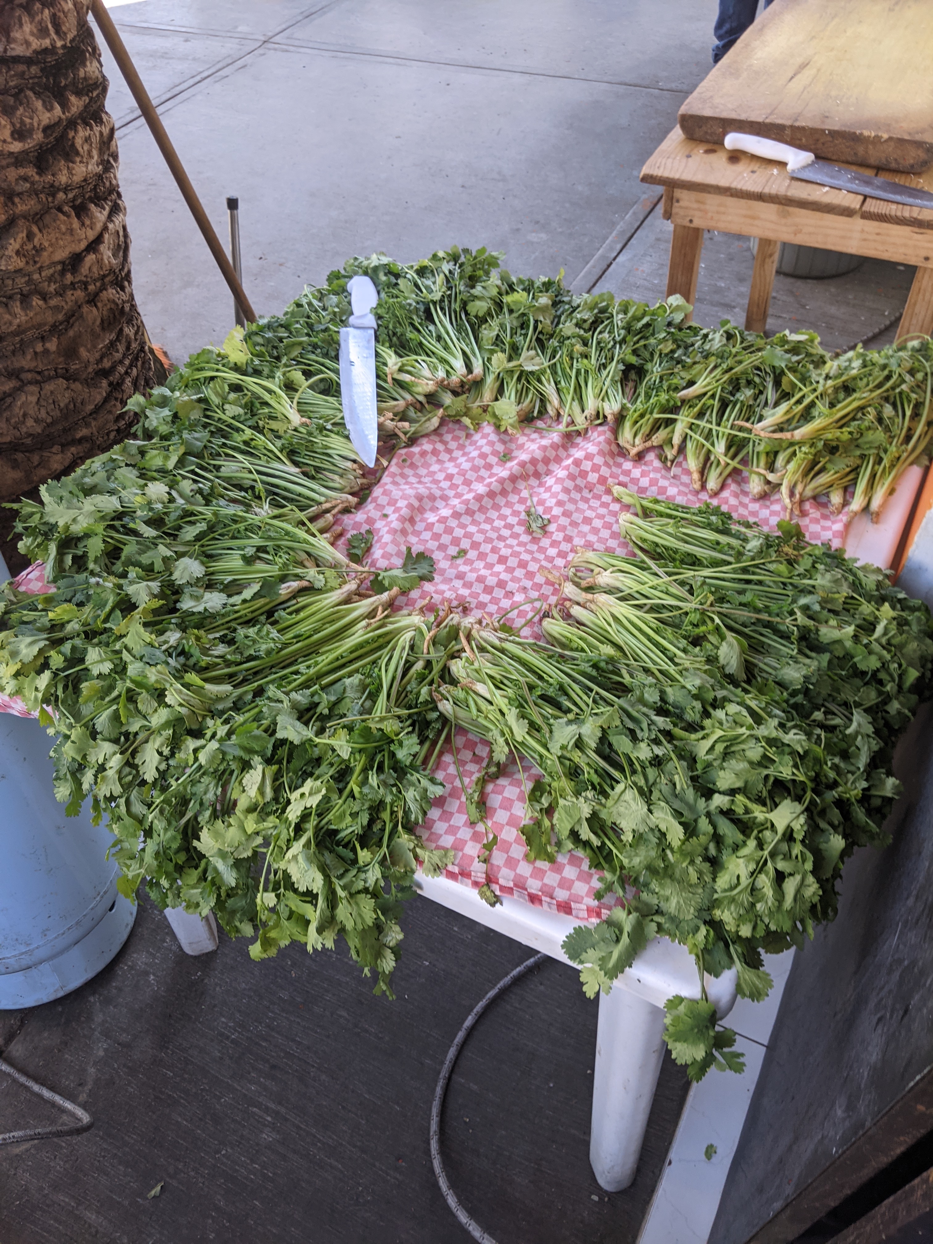 Tacos "Salsa" image 8