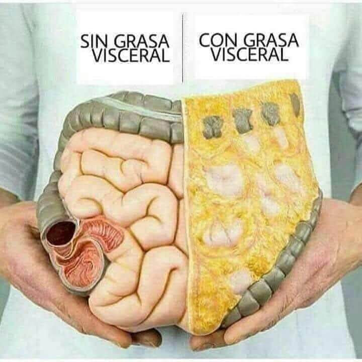 Nutrición con MARY image 6