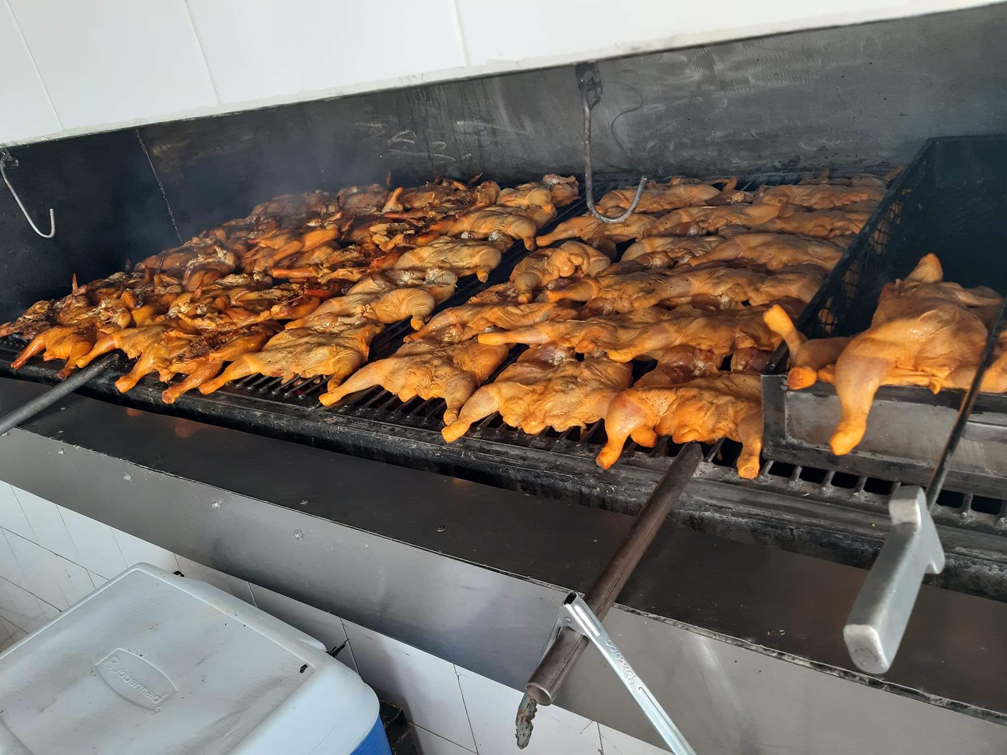 pollo feliz manuel doblado image 1