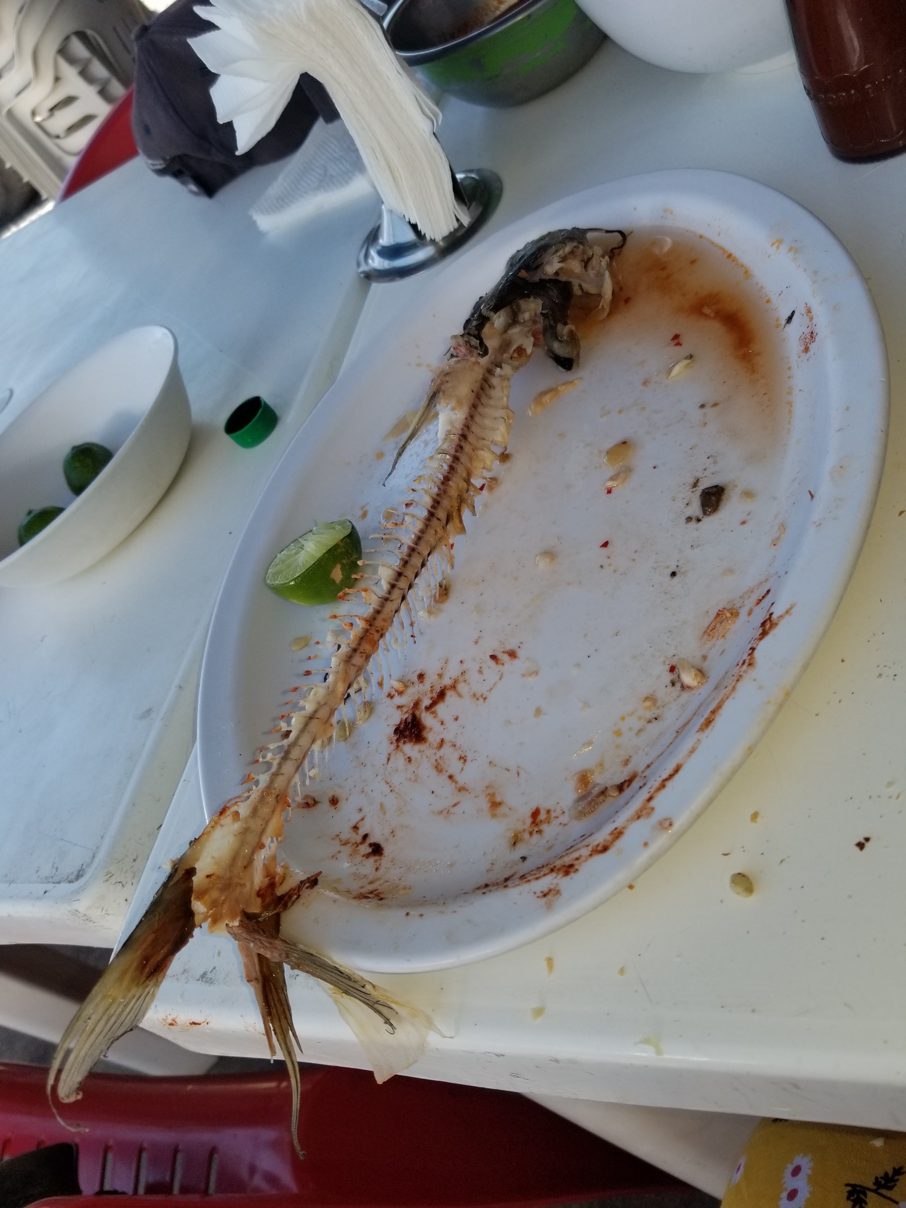 pollo feliz manuel doblado image 6