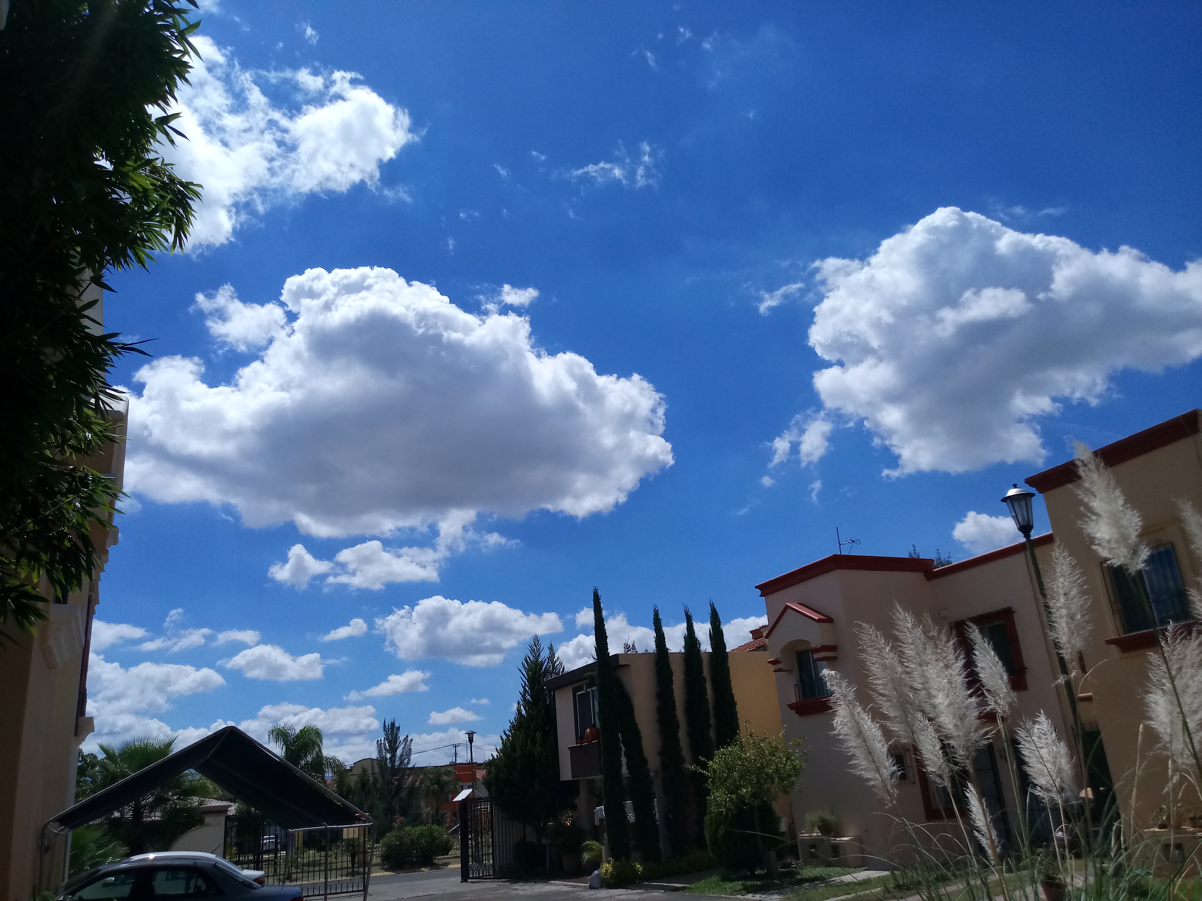 AlasWings Real del Valle image 3