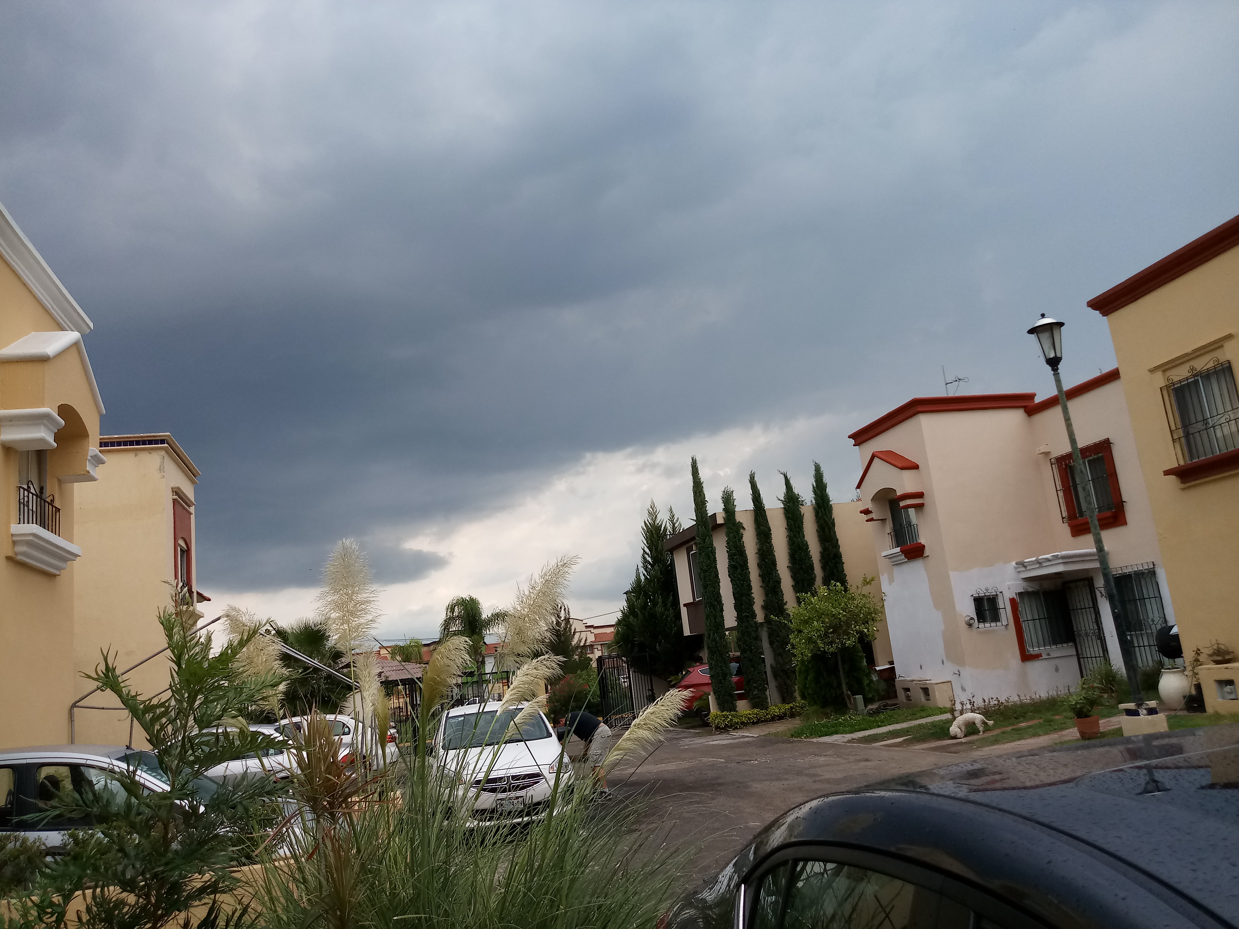 AlasWings Real del Valle image 7