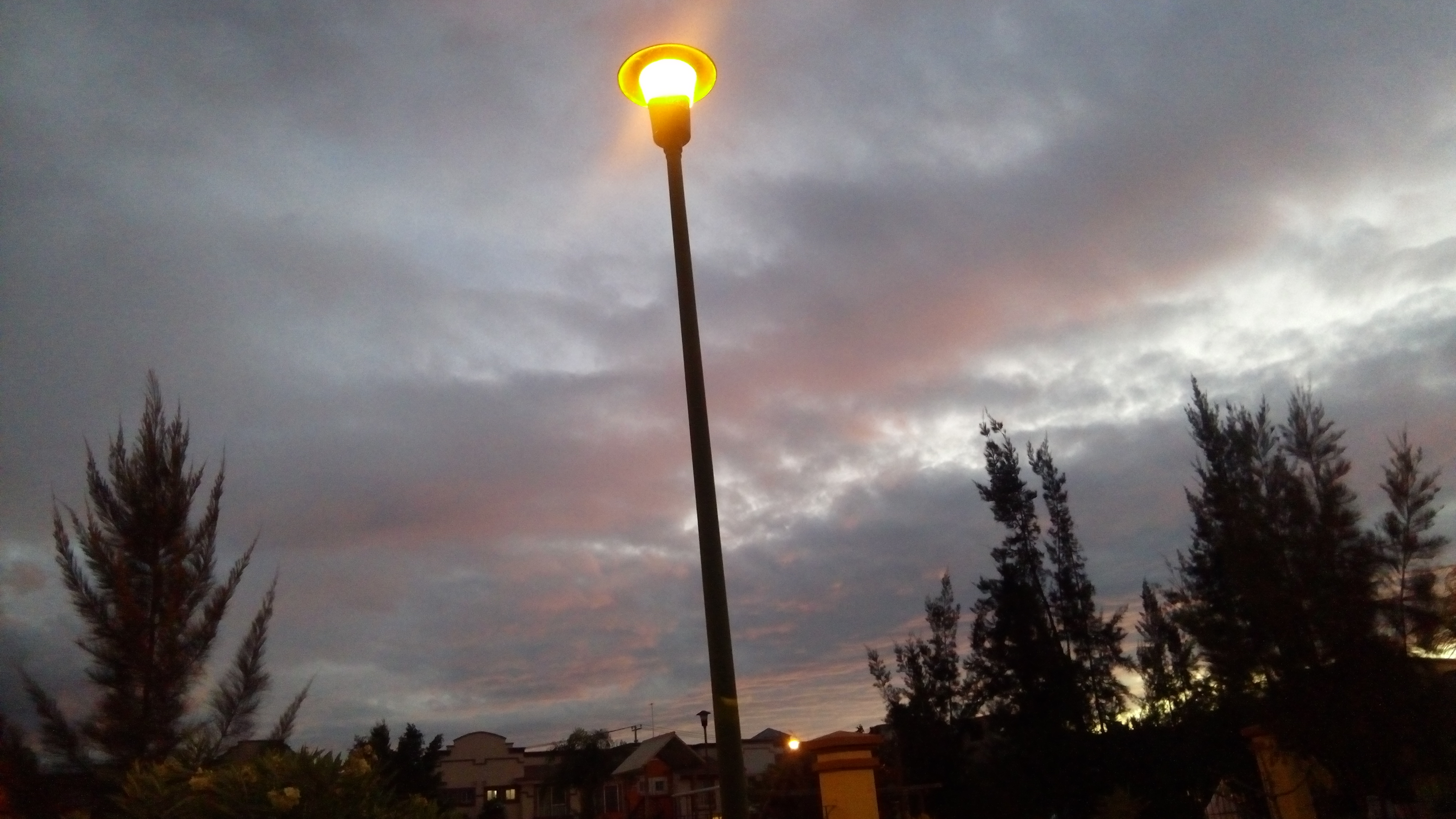 AlasWings Real del Valle image 10