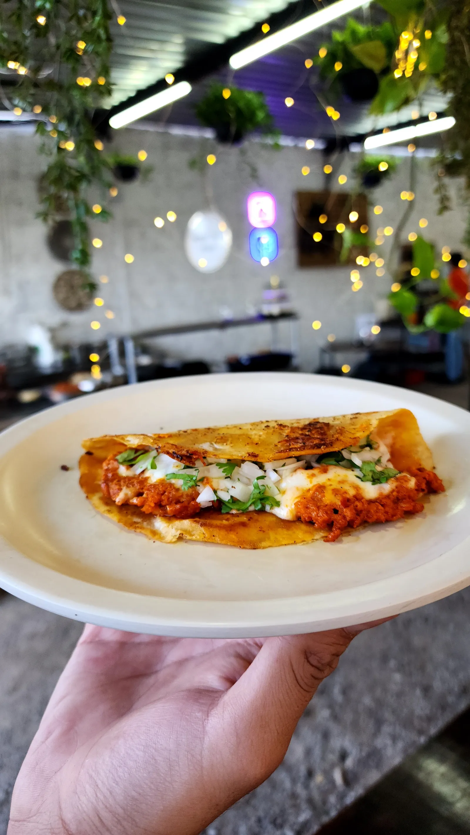 TAQUERIA LOS MEXICAS image 9