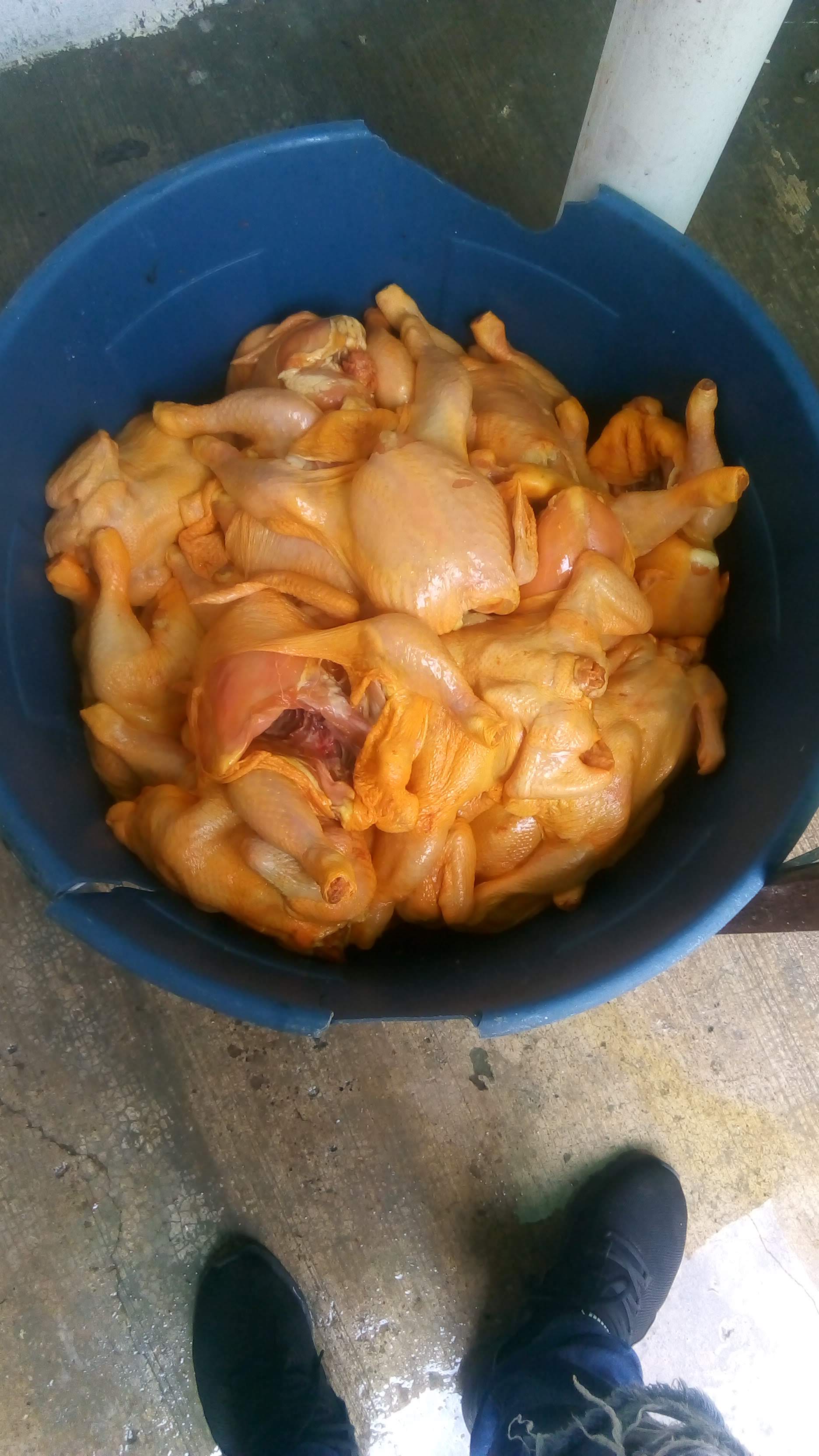 Rosticeria El Gato image 4