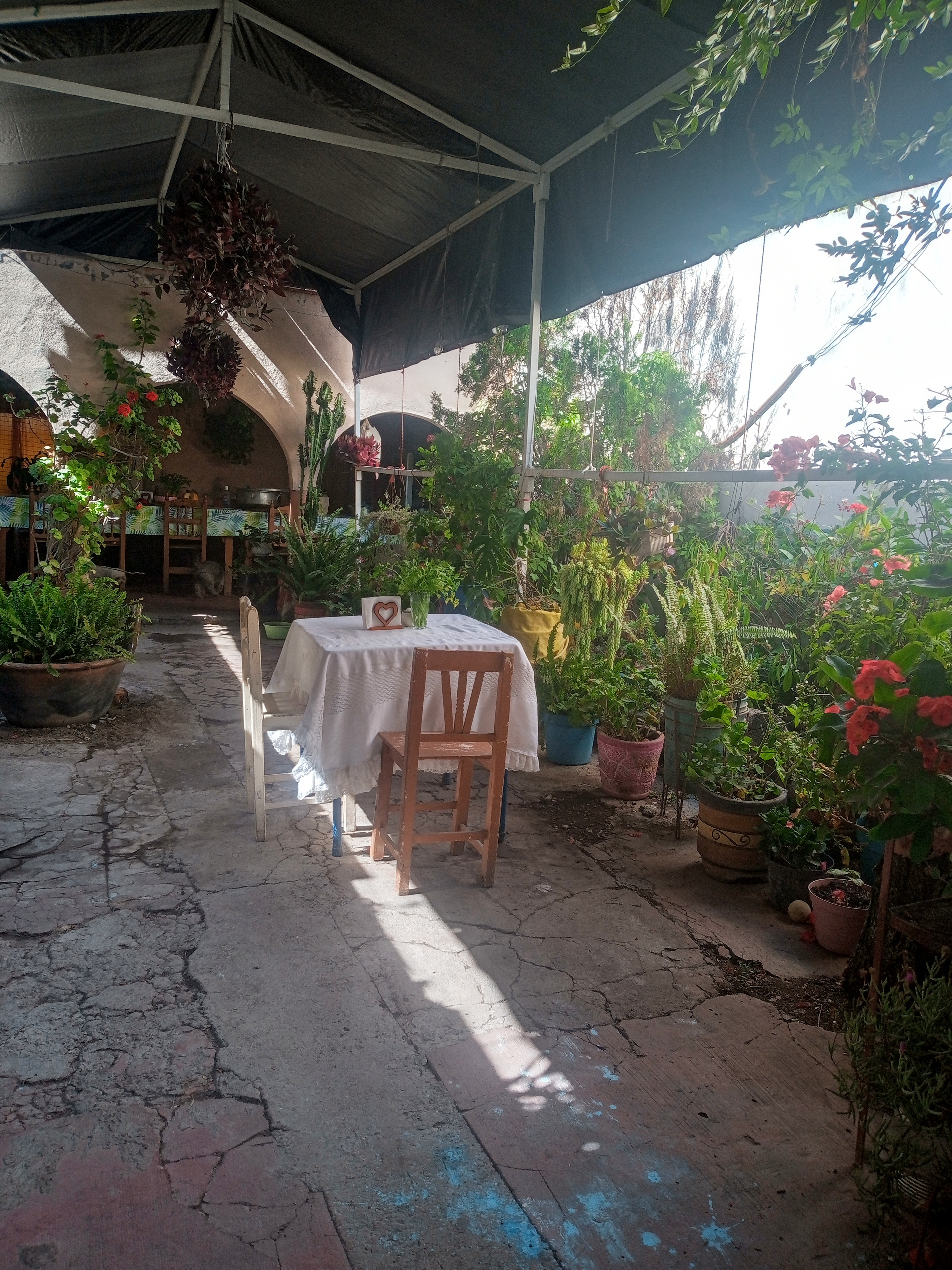 Delicias Miahuatlan image 5