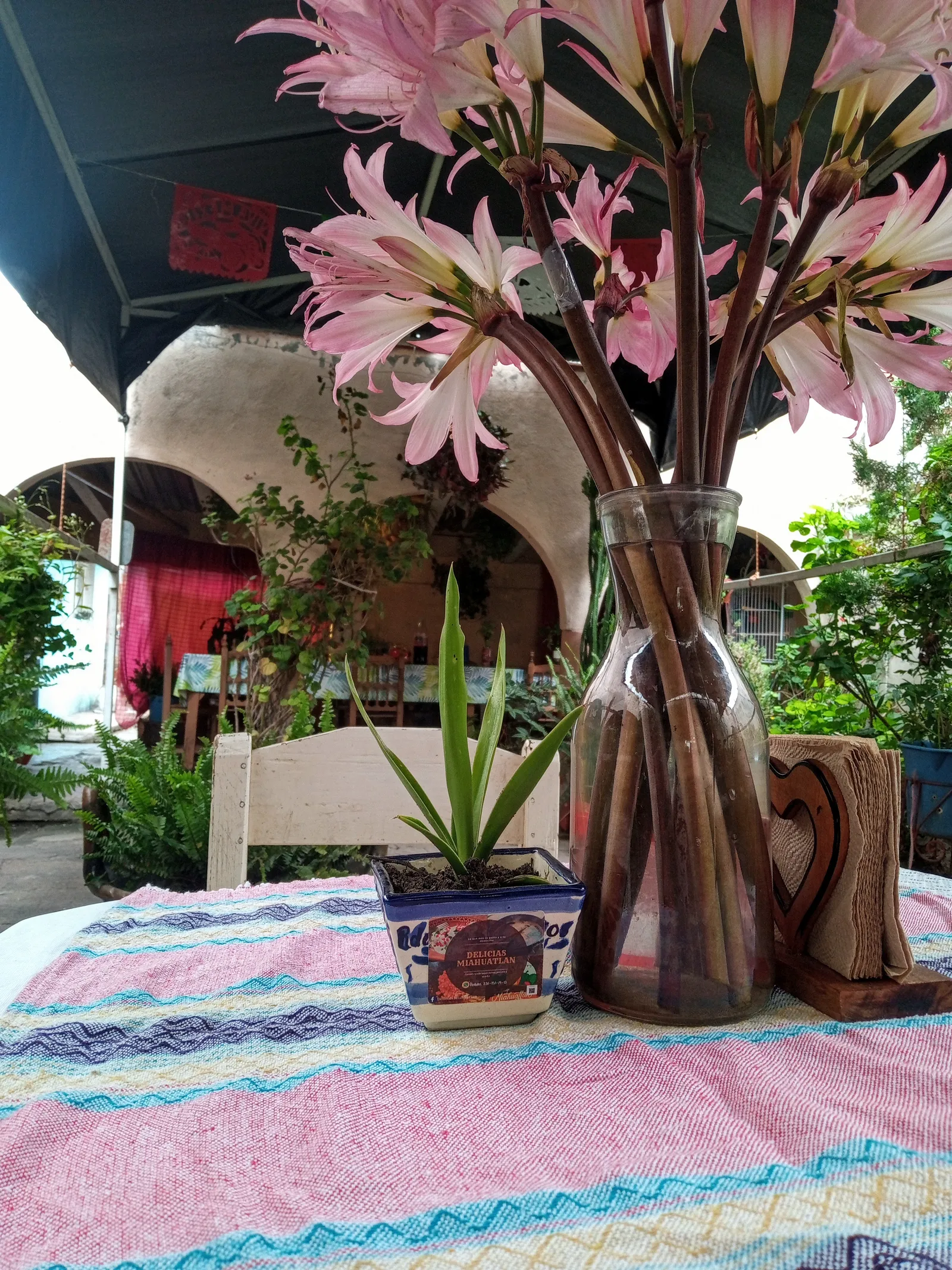 Delicias Miahuatlan image 8