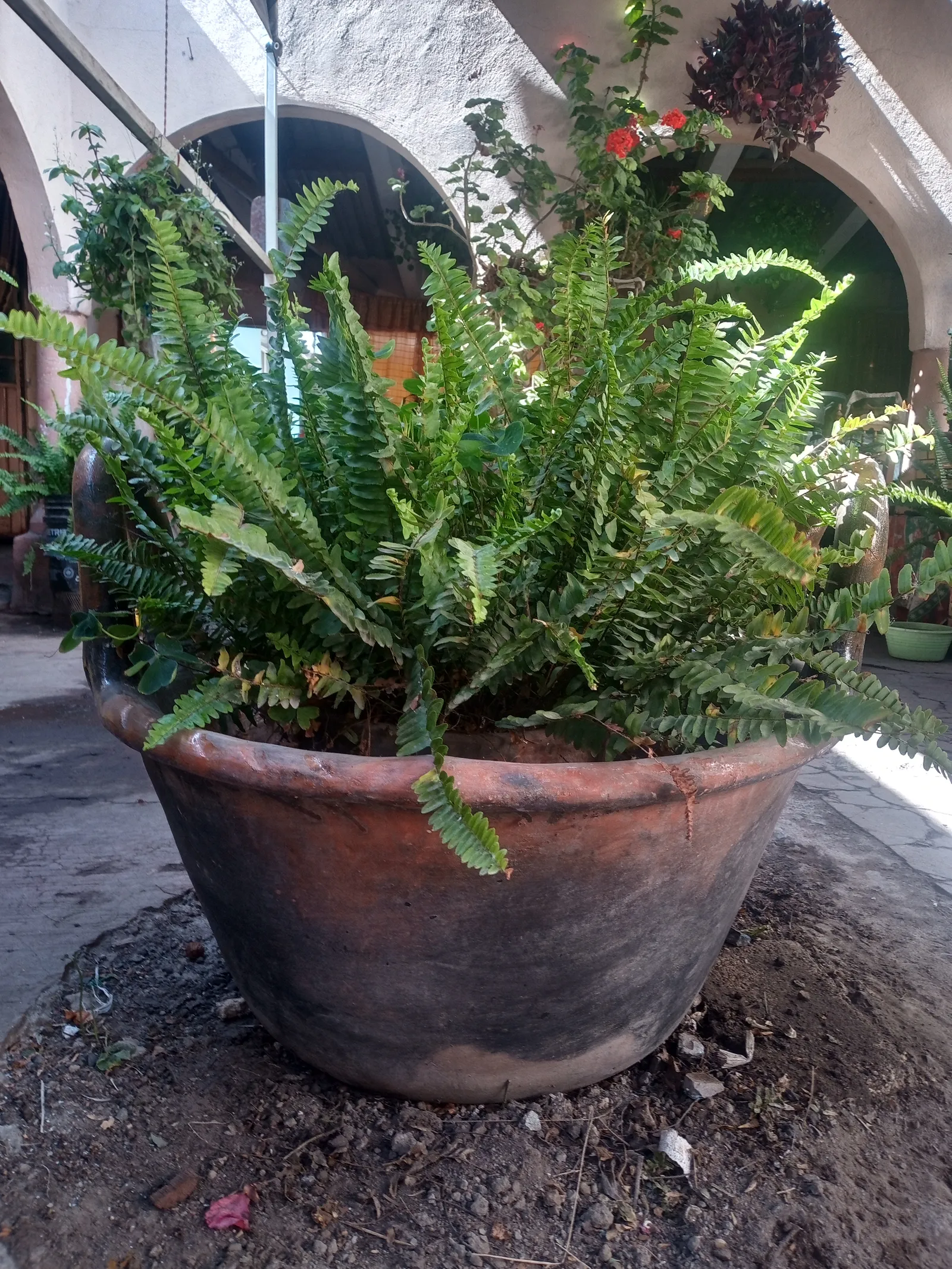 Delicias Miahuatlan image 9