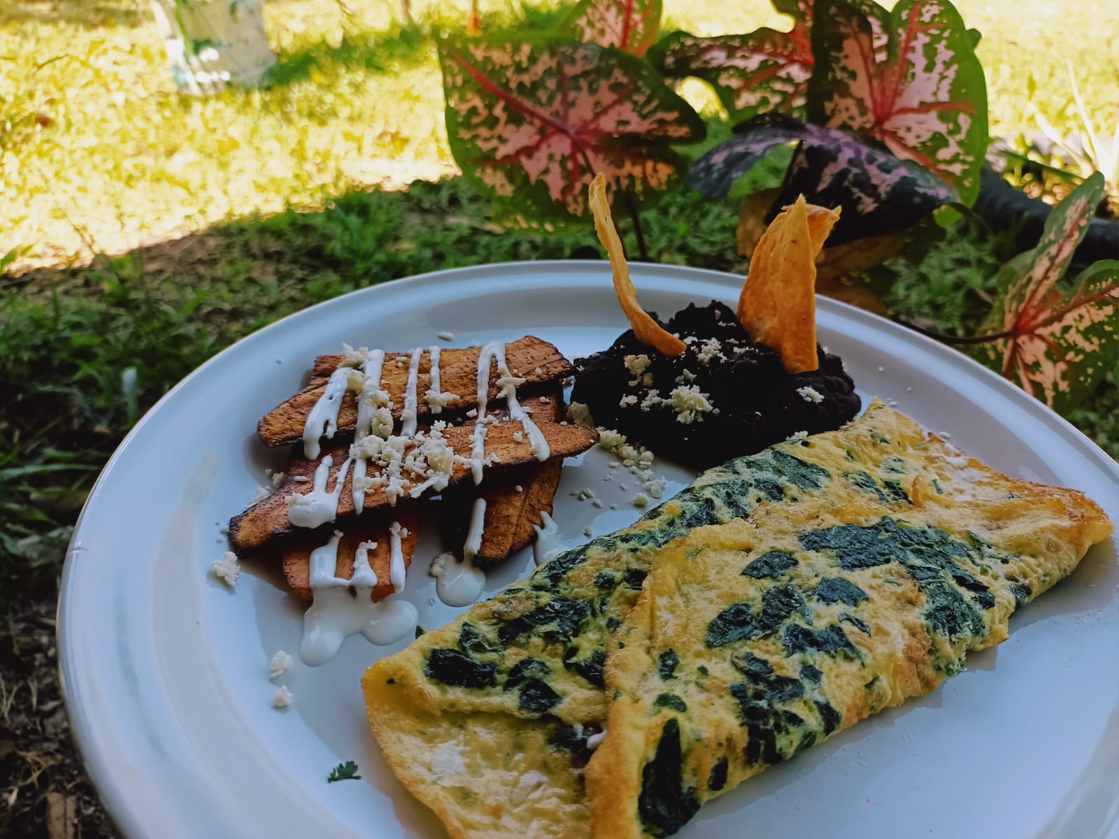 Señor Toktan (Restaurant Campestre) image 3