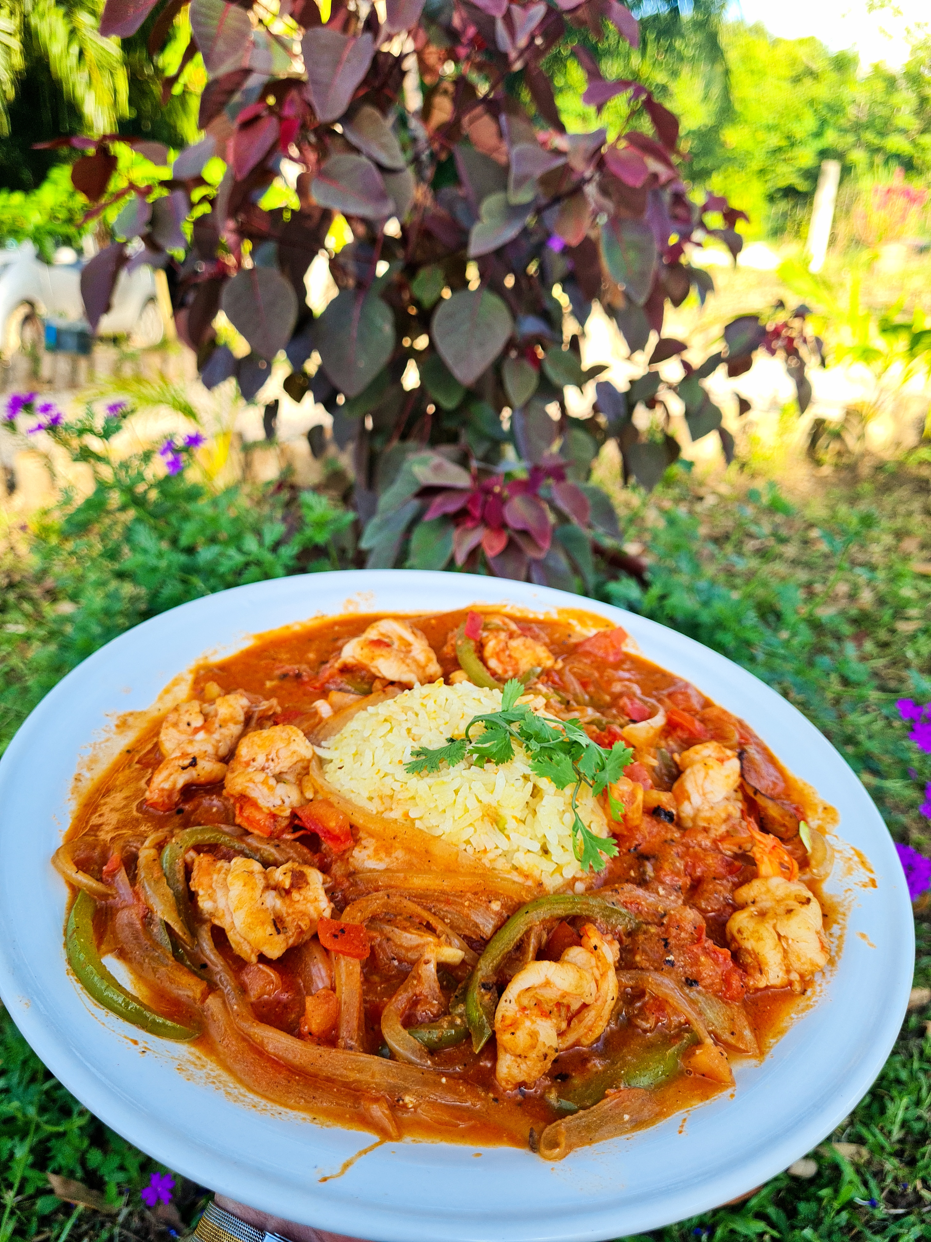 Señor Toktan (Restaurant Campestre) image 8