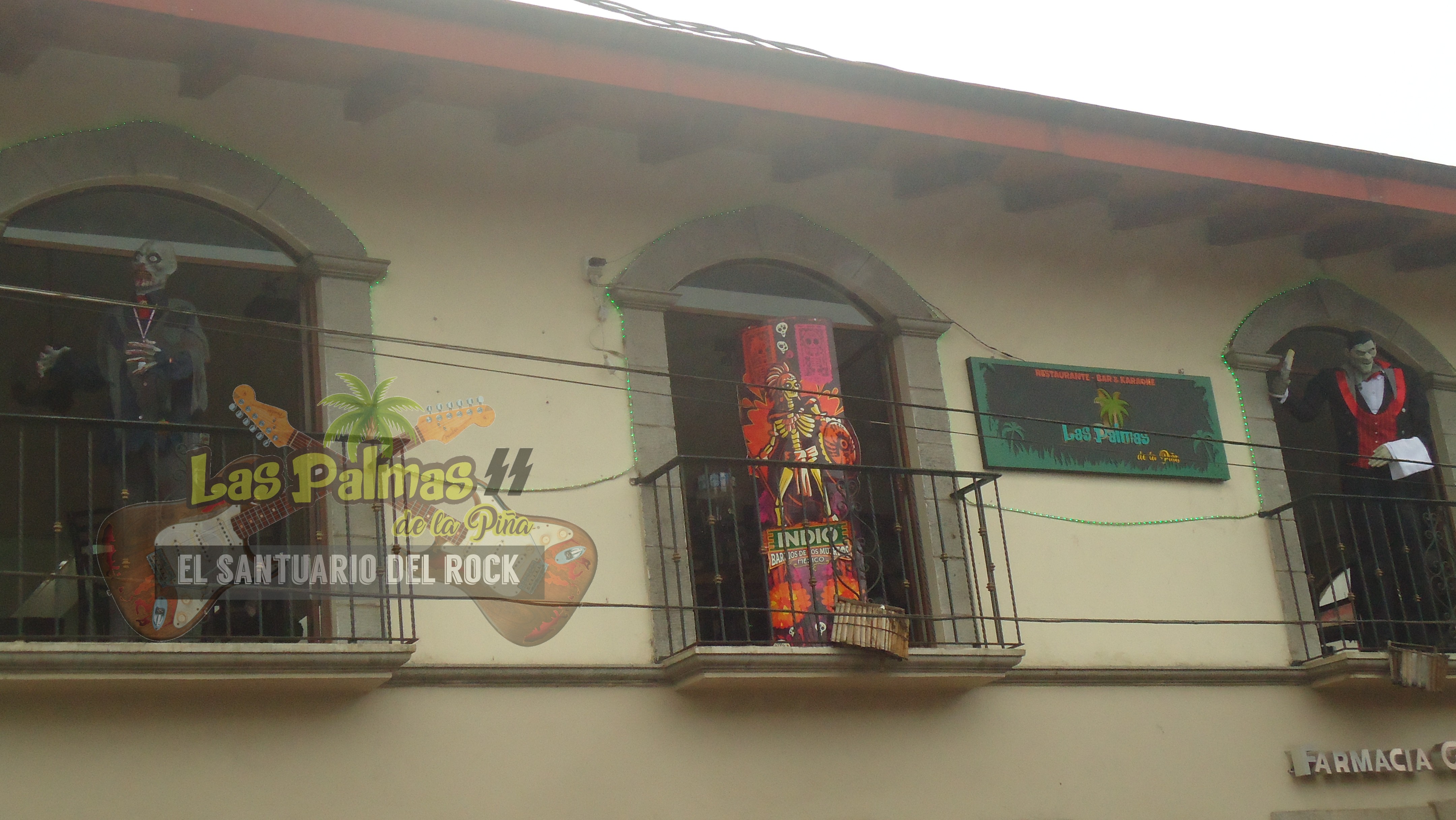 Las Palmas de la Piña image 1