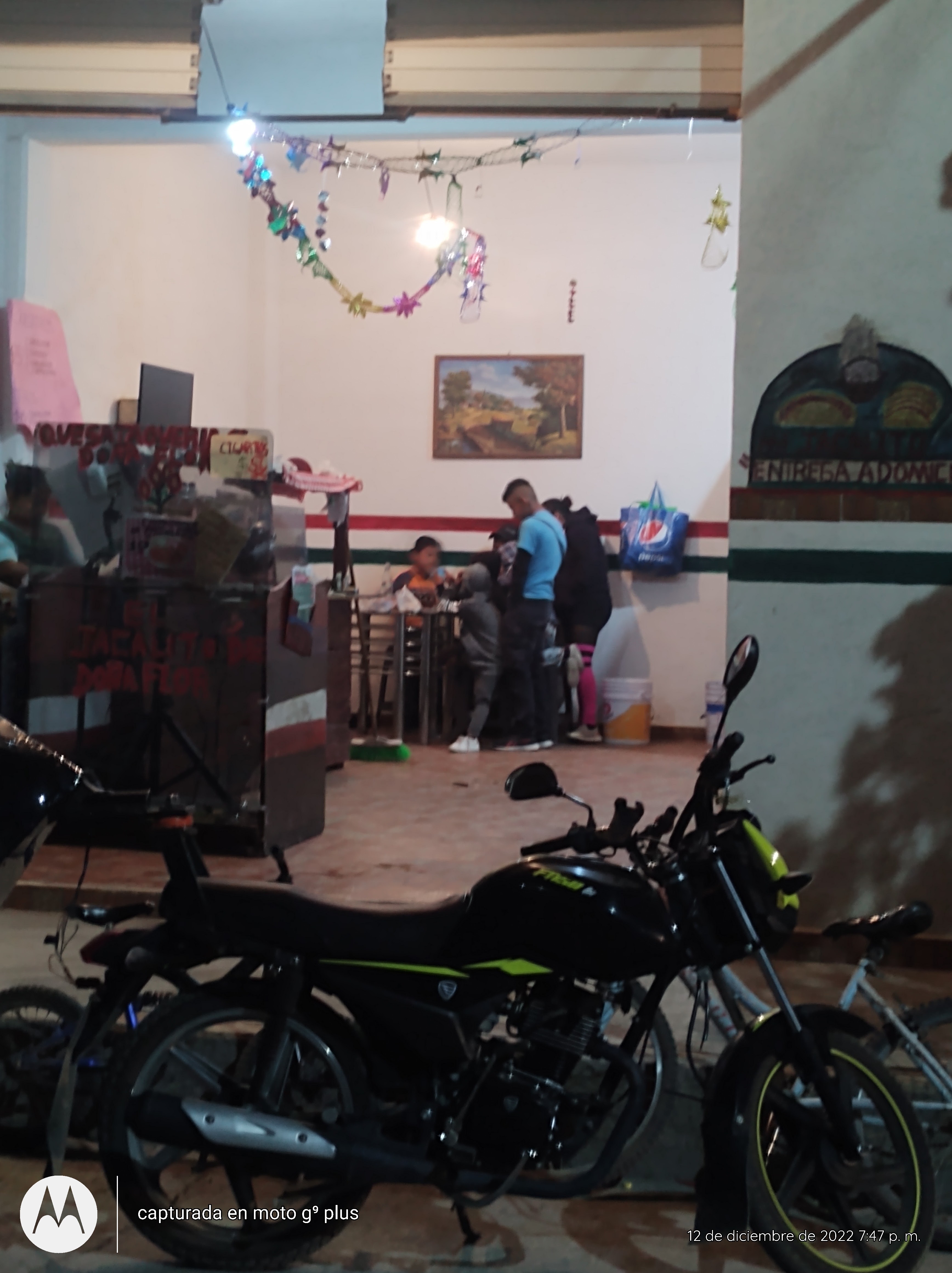 El JACALiTO. De doña flor image 6