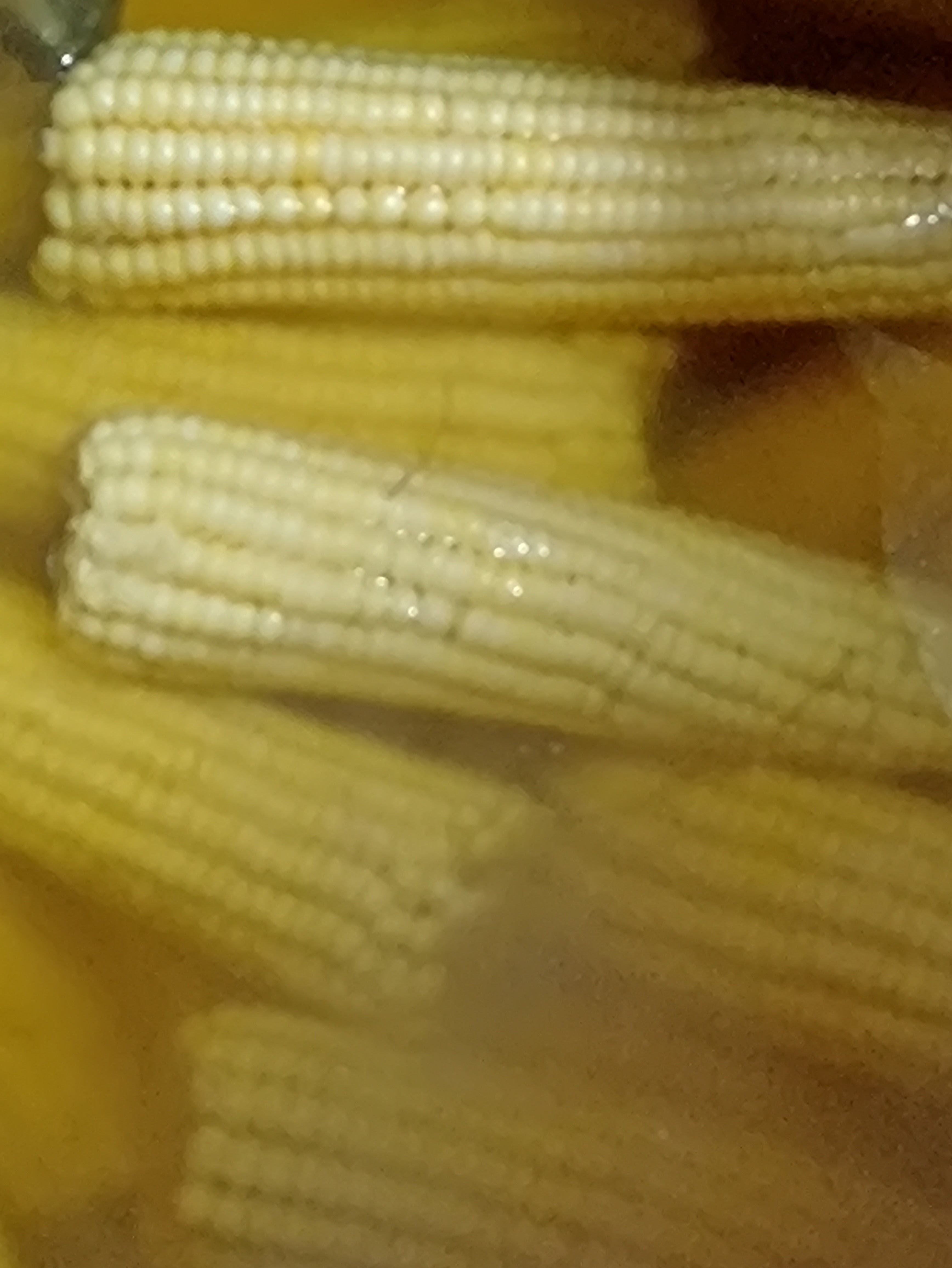Elotes Mayab image 6