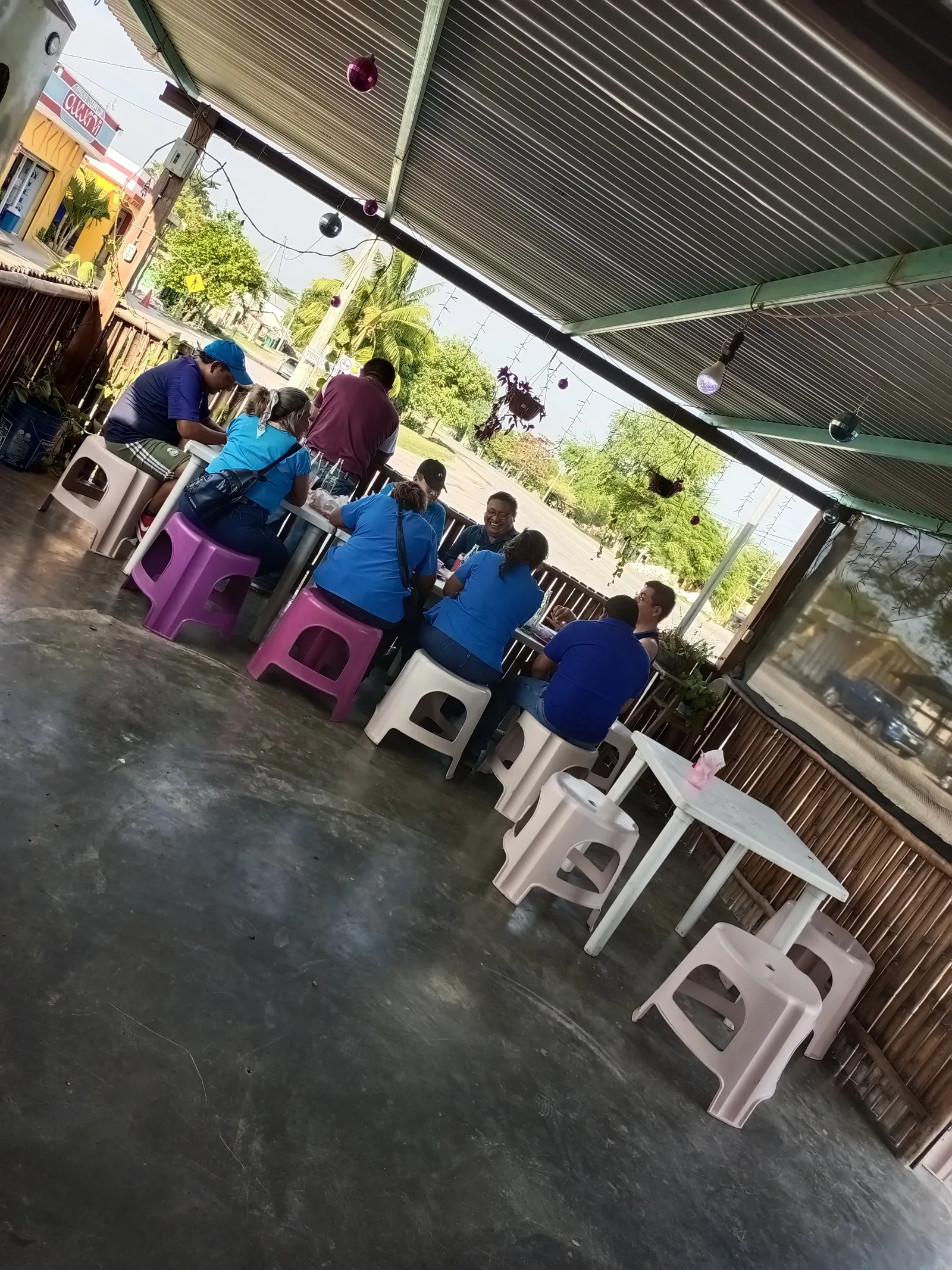 Carnitas Estilo Campeche image 3