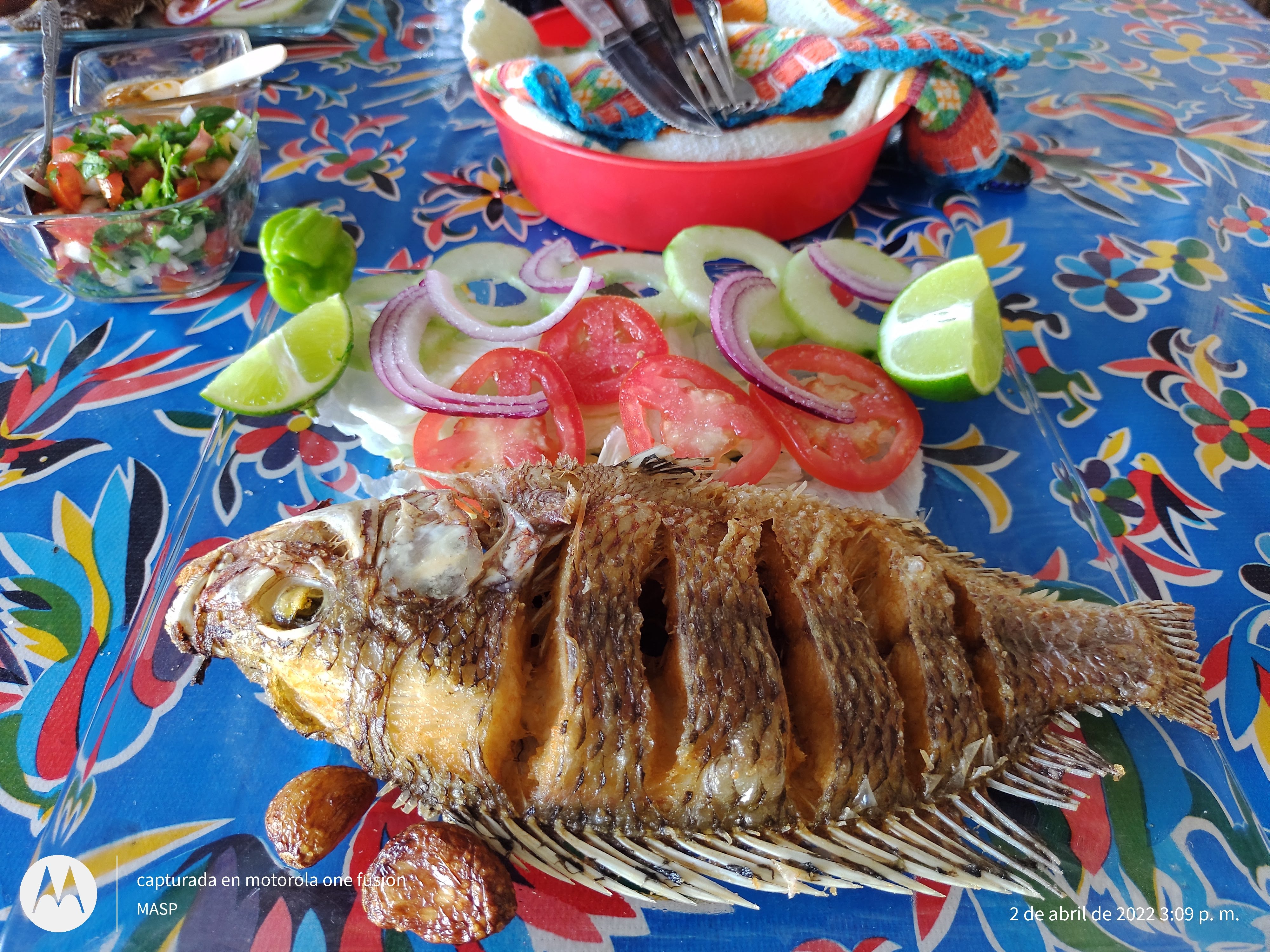 Comedor Económico y Cafeteria El Cachimbero image 2