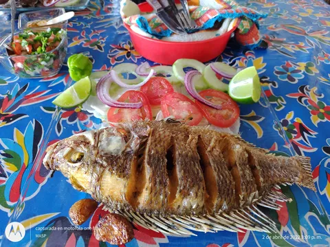 Comedor Económico y Cafeteria El Cachimbero image 2
