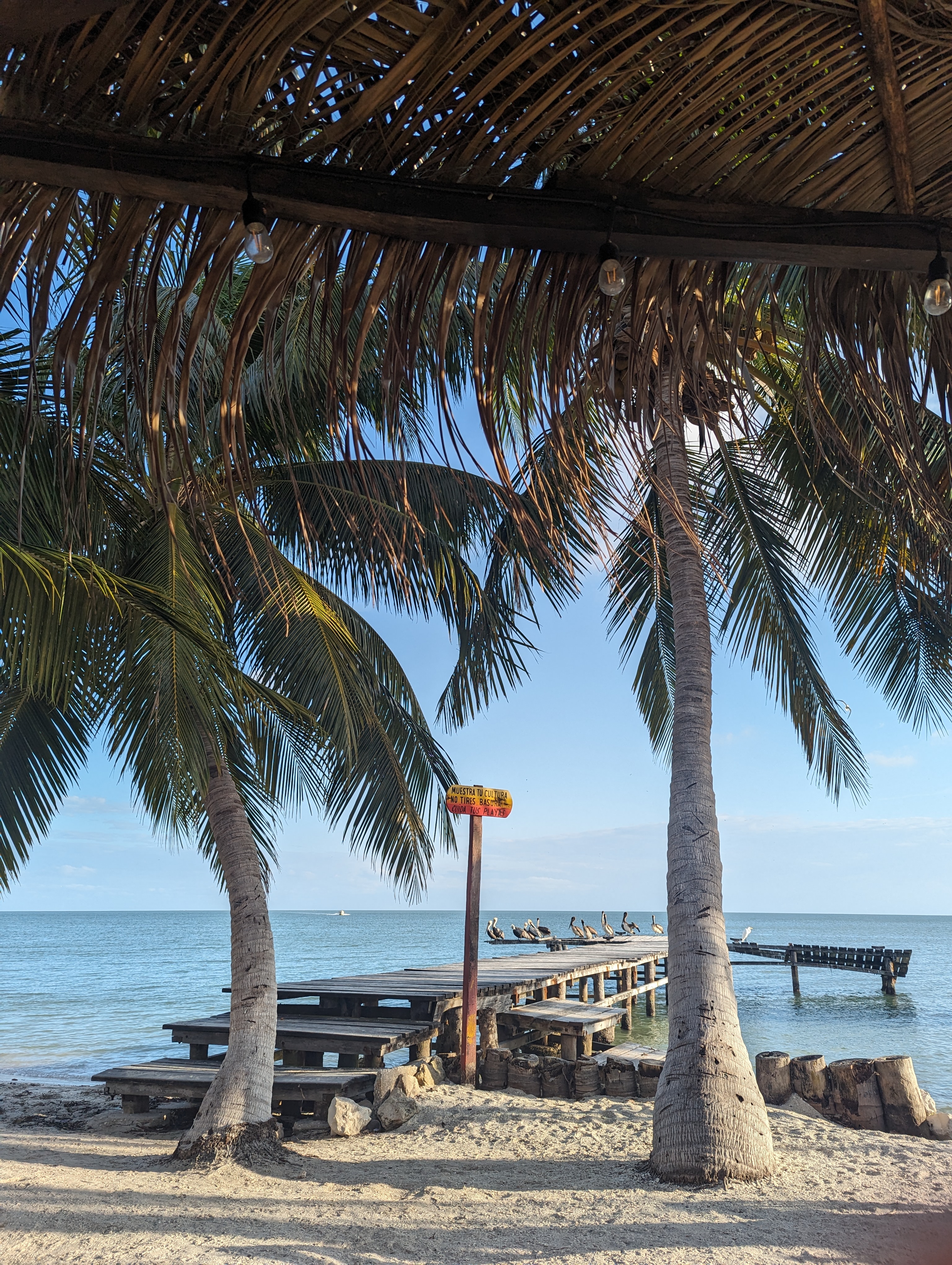 Restaurante MEMIN image 3