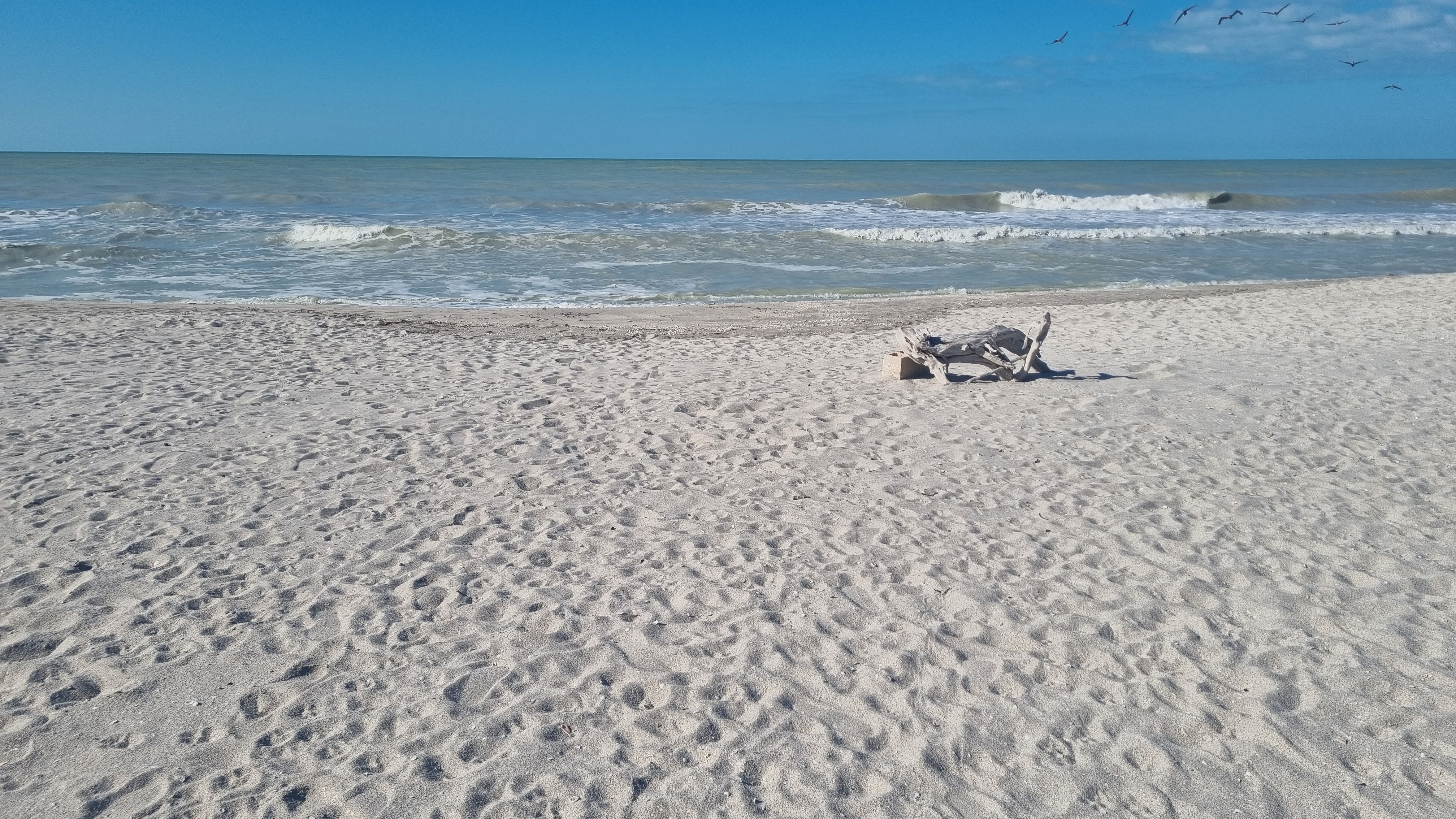 Almarena Beach Club image 5