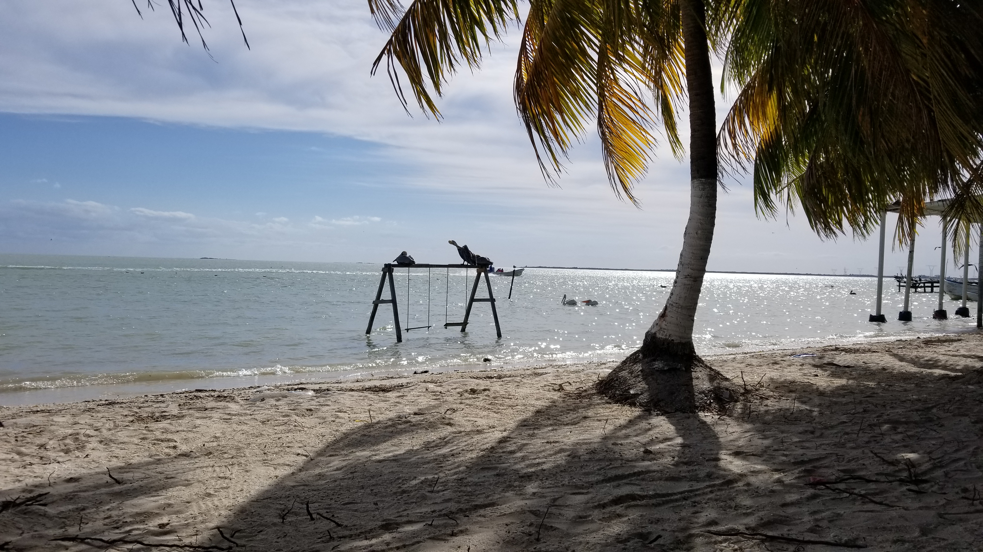 Restaurante Don Guillo image 3