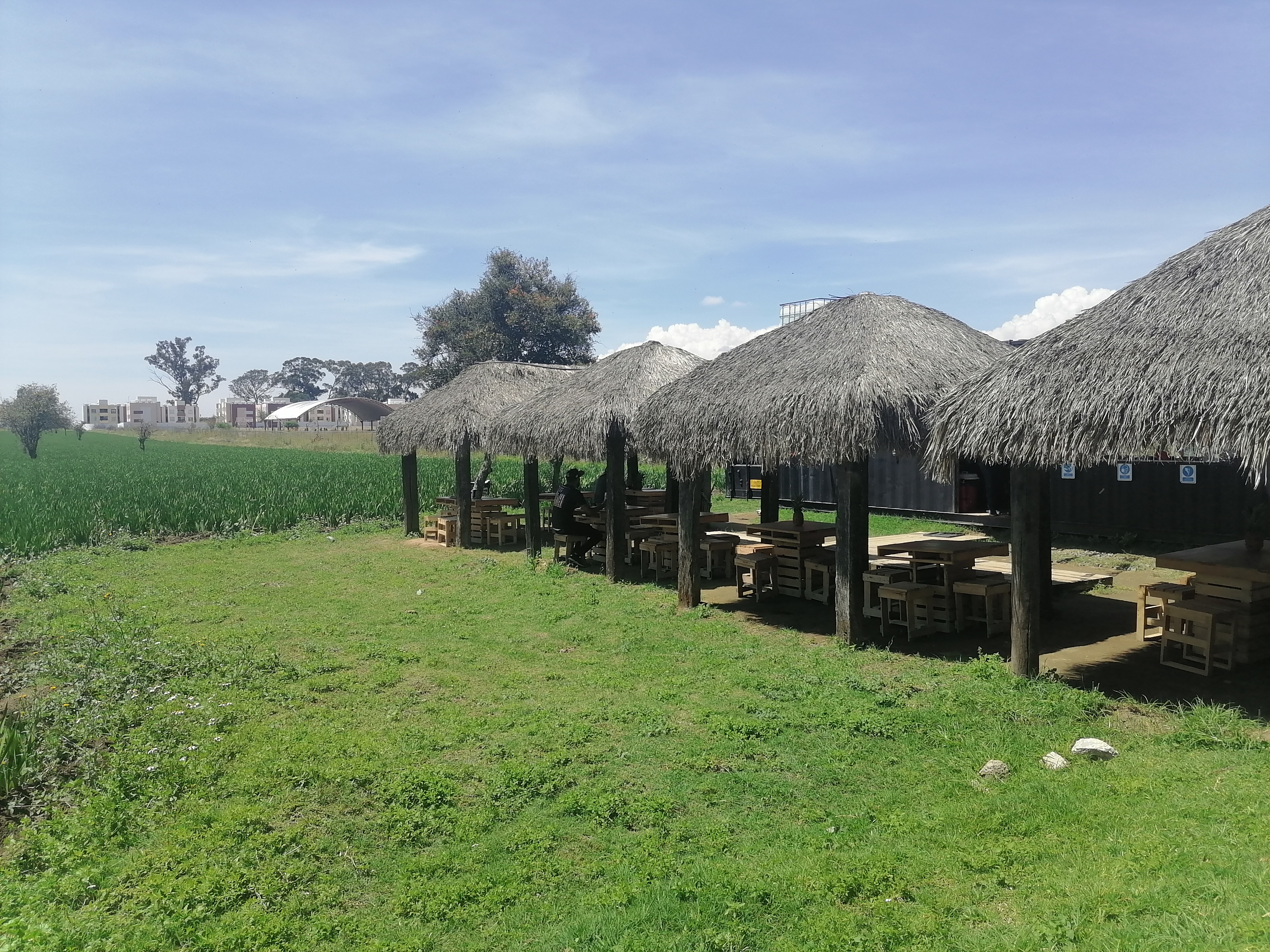 Corazón de Maguey image 3