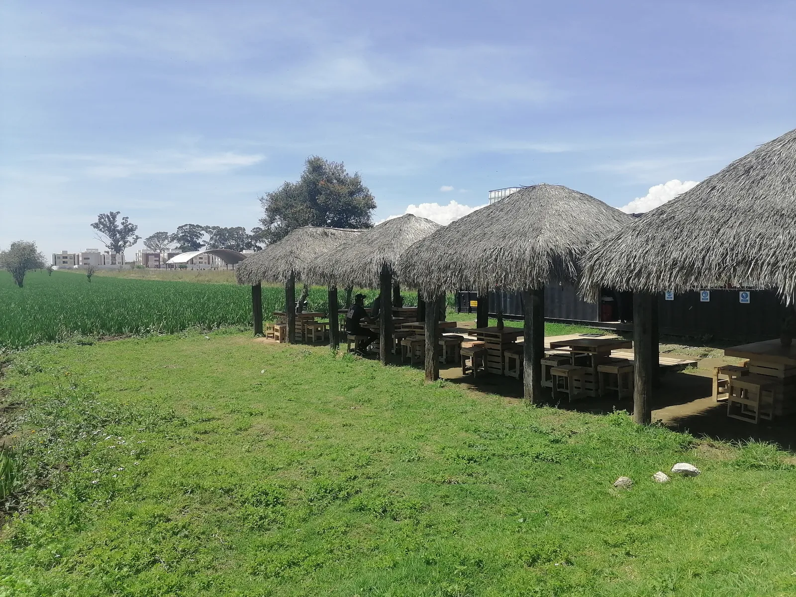 Corazón de Maguey image 3