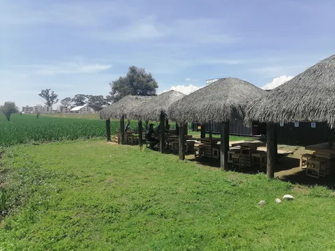 Corazón de Maguey image 3