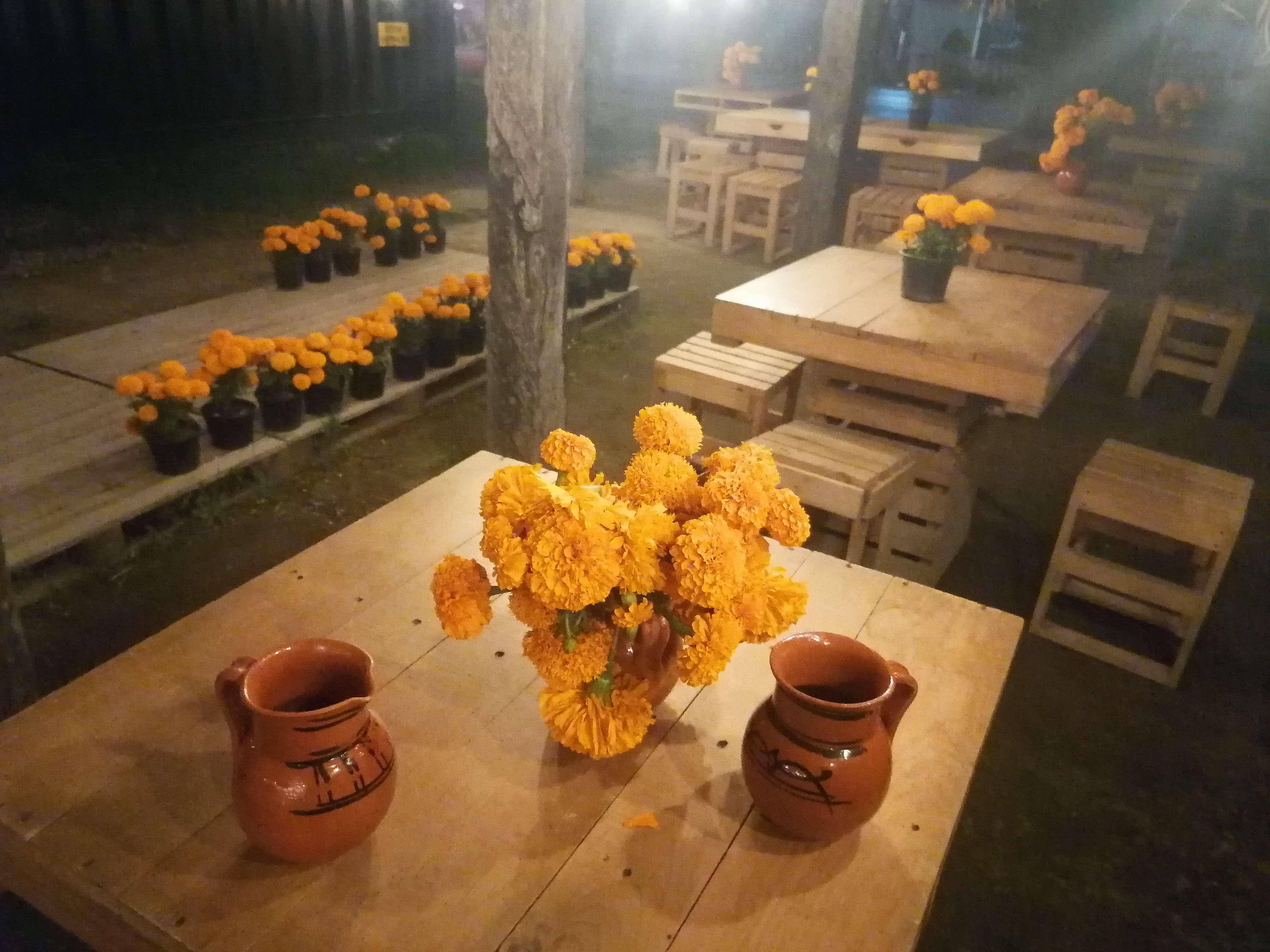 Corazón de Maguey image 8