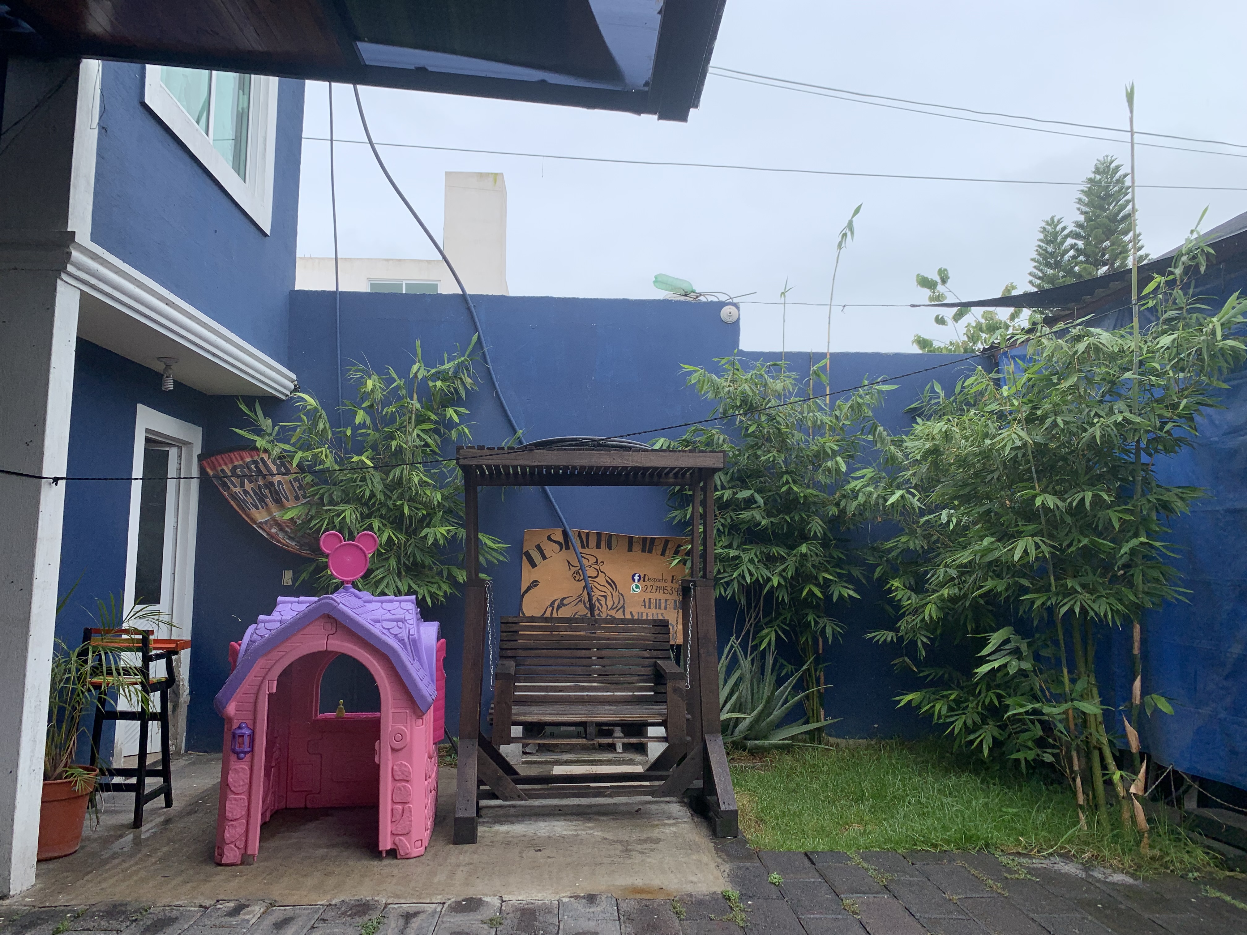 Birria "el despacho" image 4