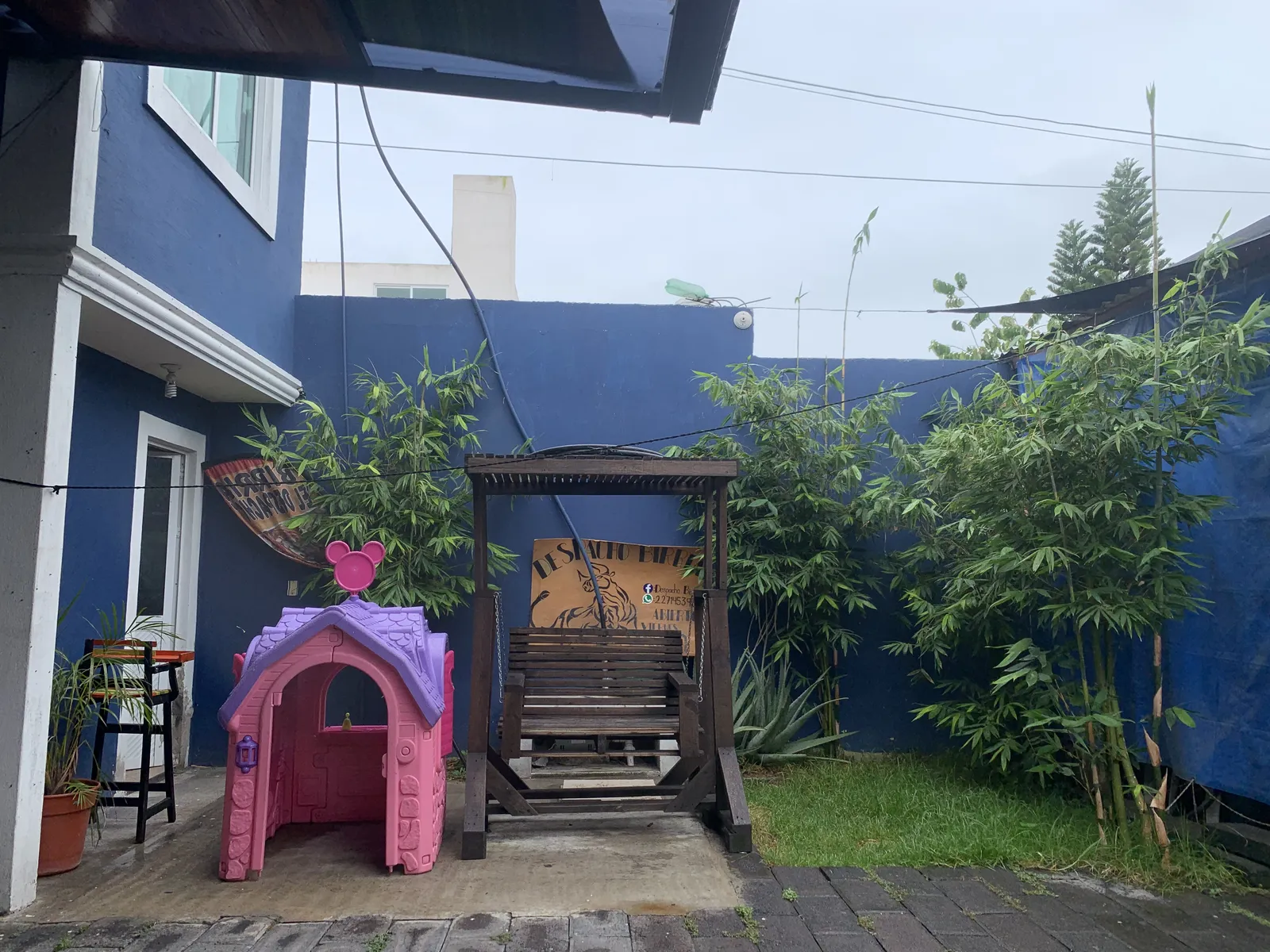 Birria "el despacho" image 4