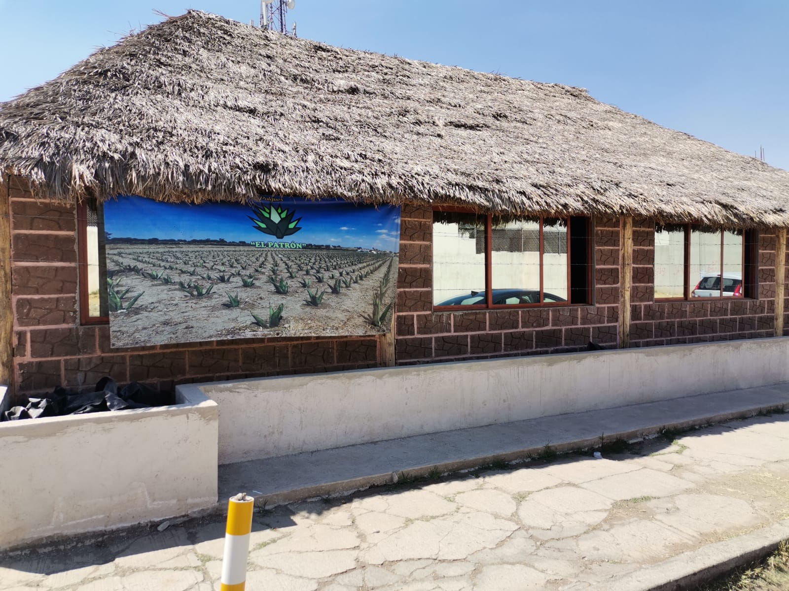 Pulques el Patrón image 2