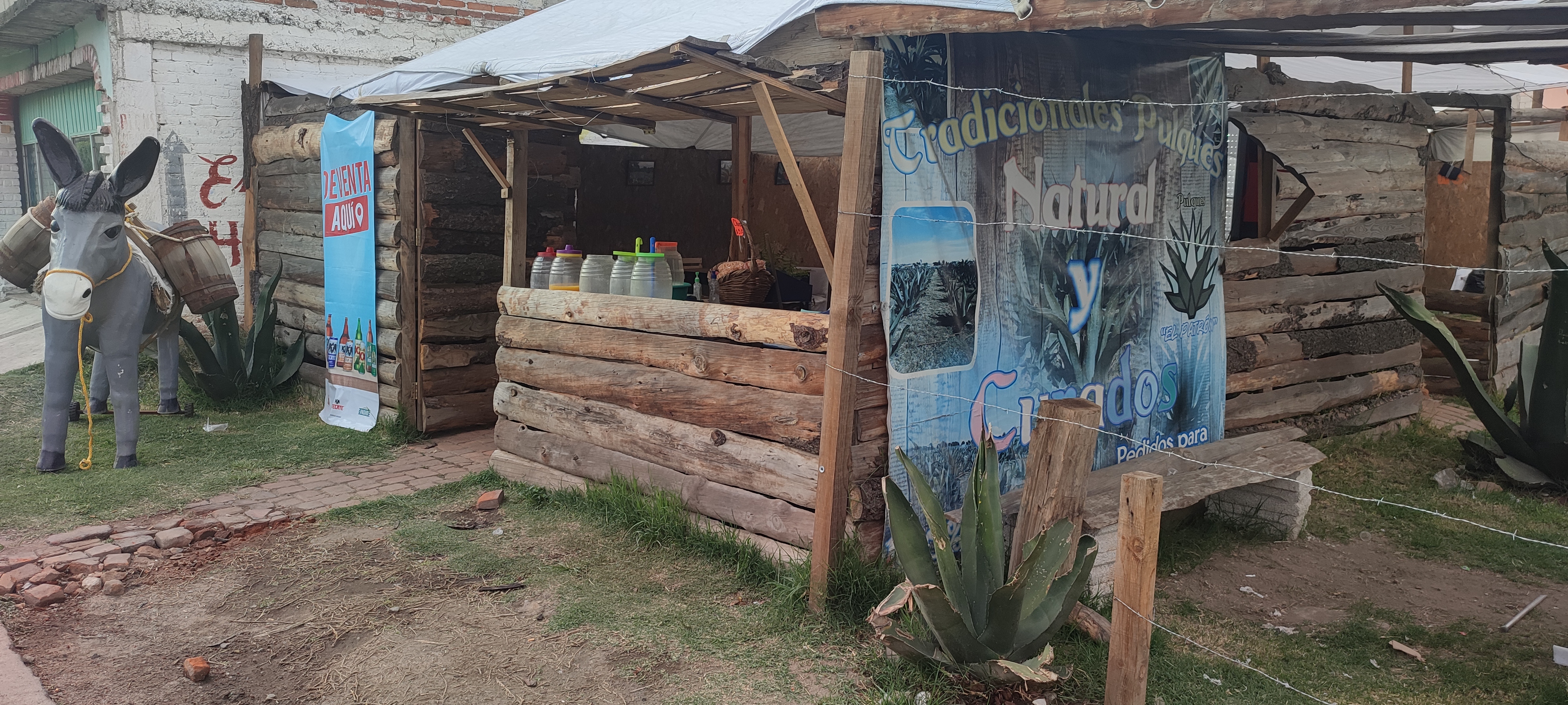 Pulques el Patrón image 8