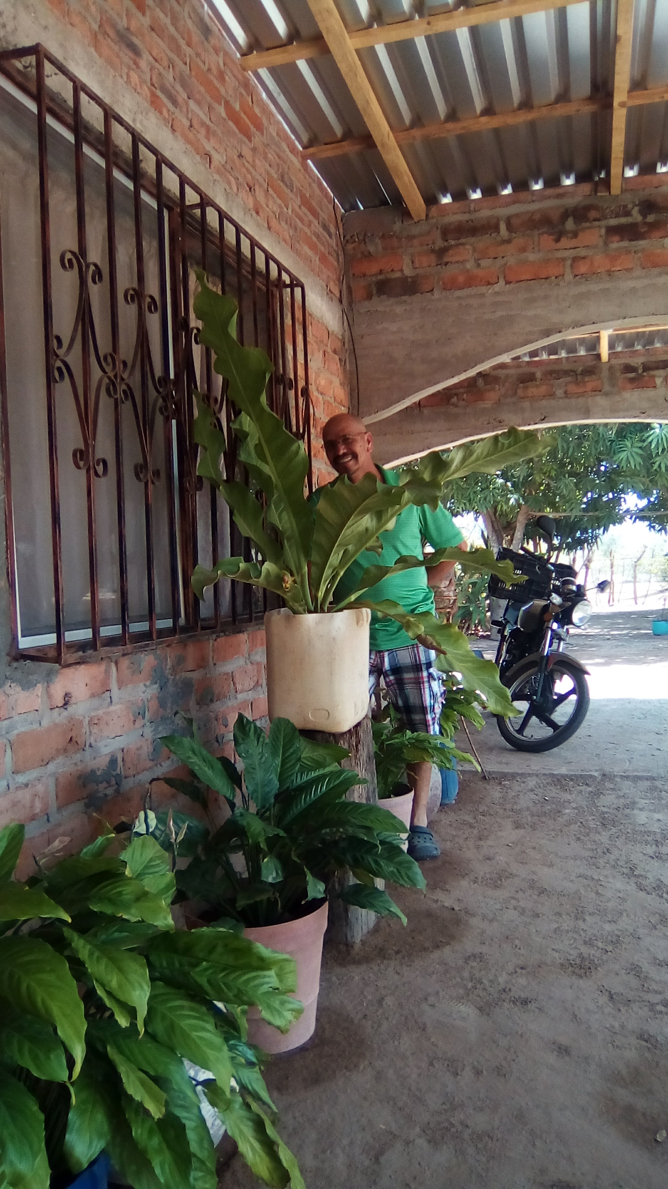 Tostitos Y Cacahuates Alfredo image 9