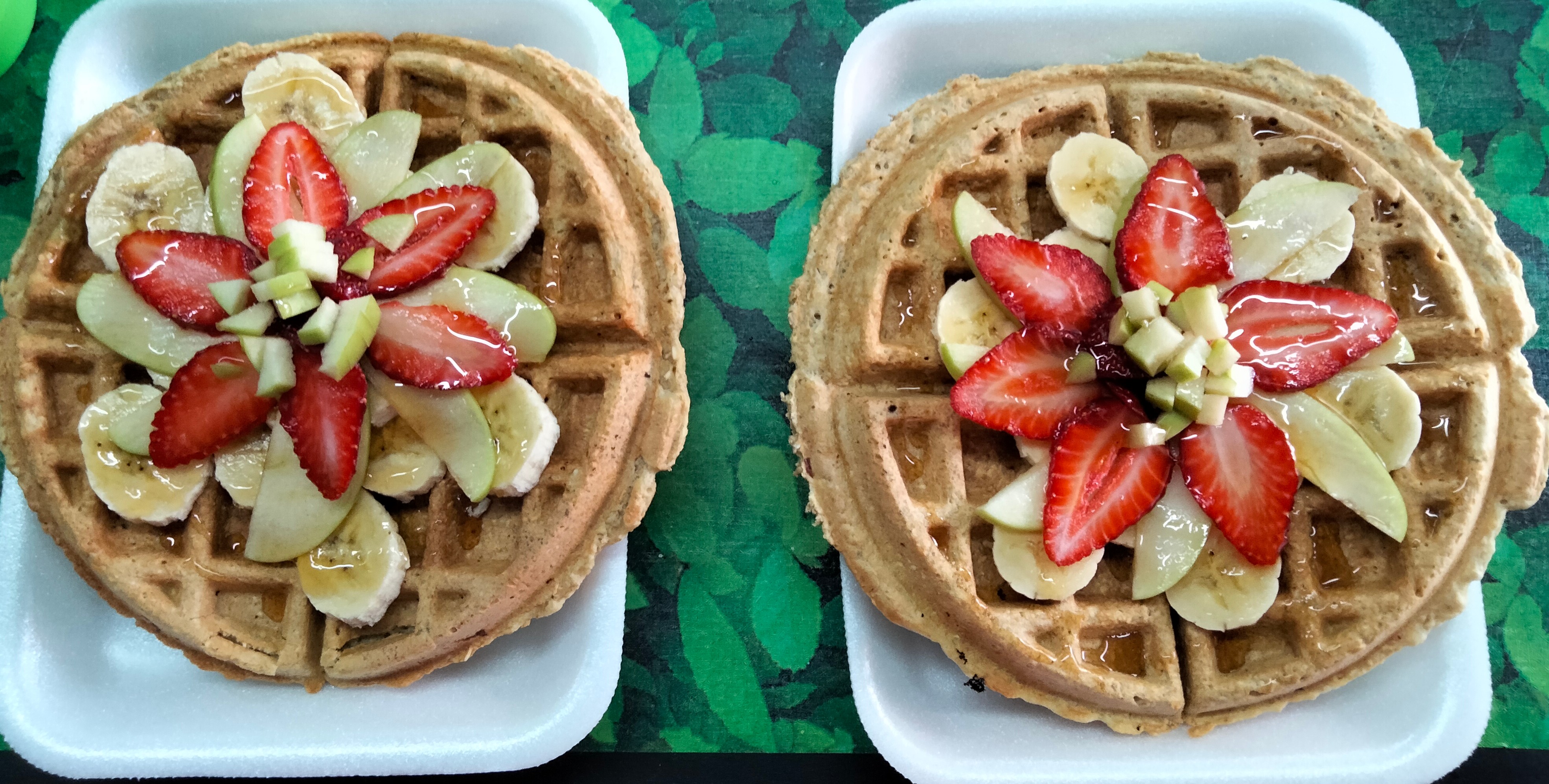 PROTEIN-FIT LA VIDA ES BELLA image 6