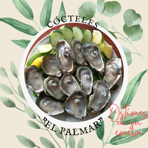Cócteles"El Palmar" image 1