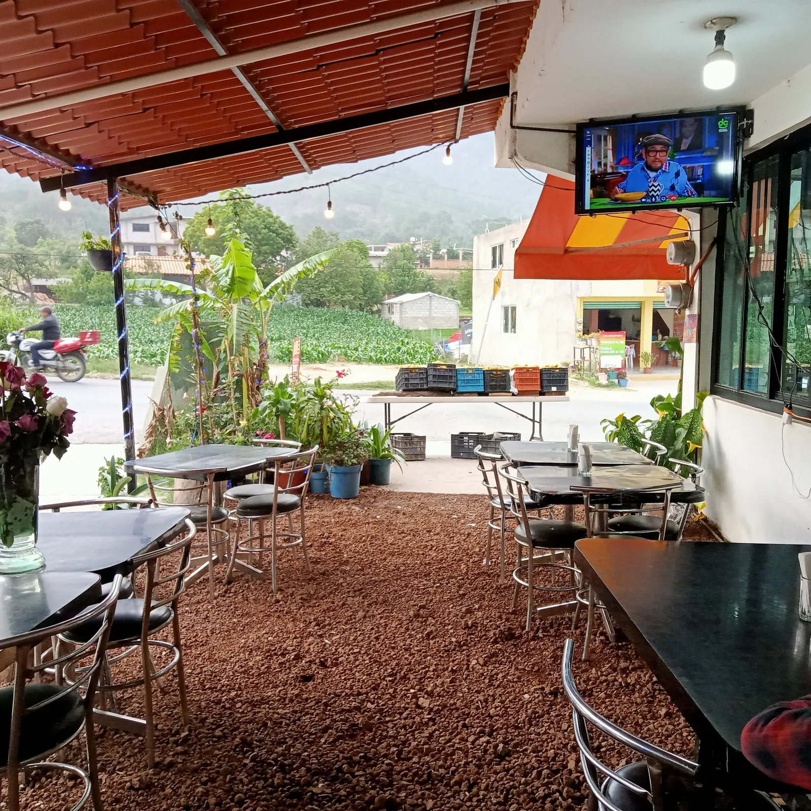 El Tlecuile image 1